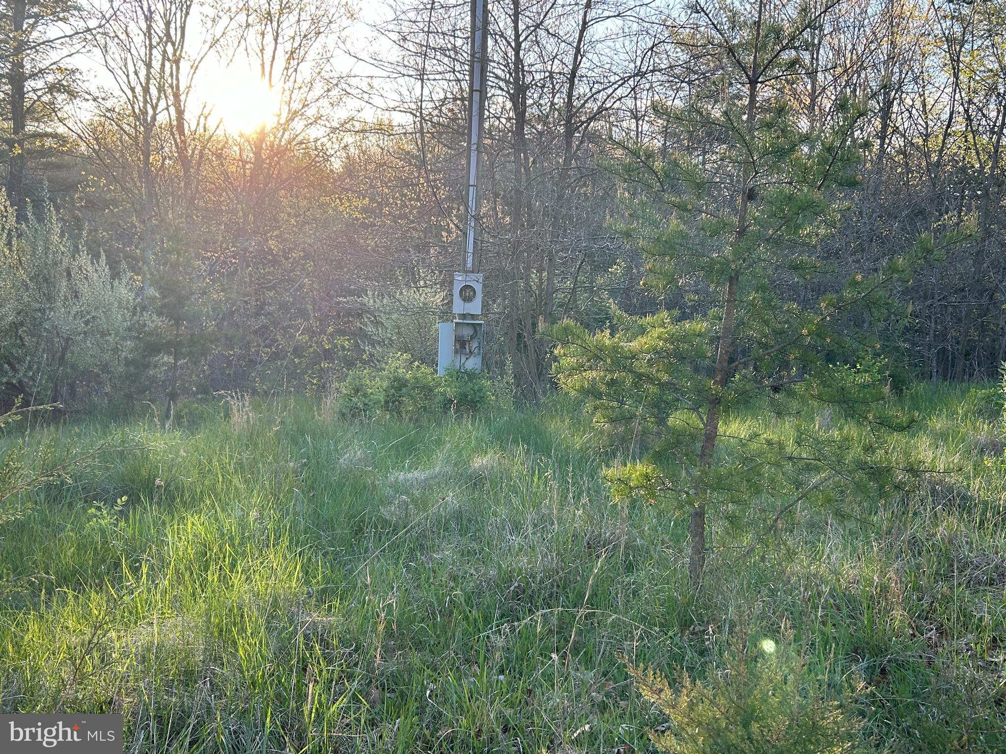 FRENCHBURG ESTATES - Land