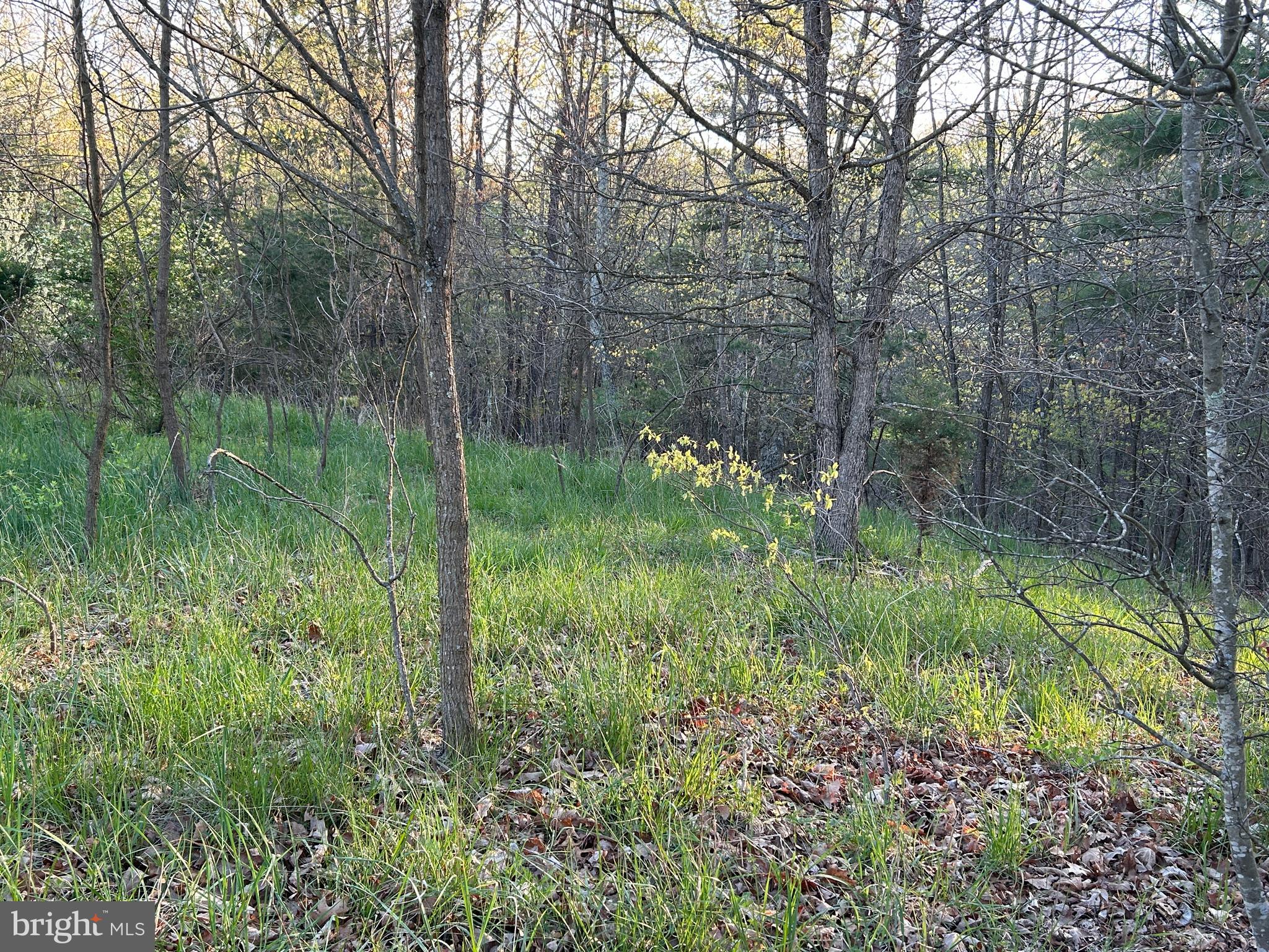 FRENCHBURG ESTATES - Land