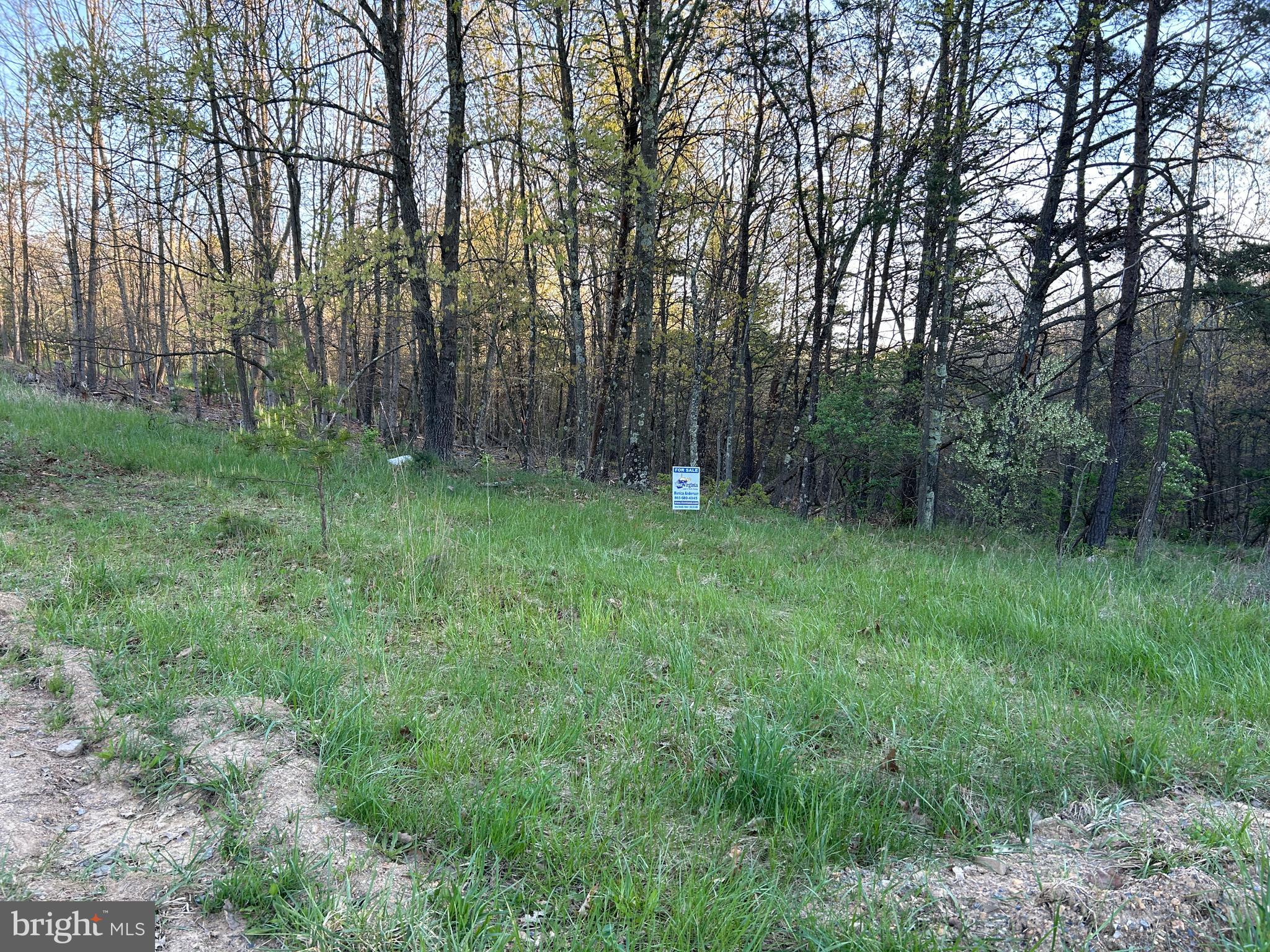 FRENCHBURG ESTATES - Land