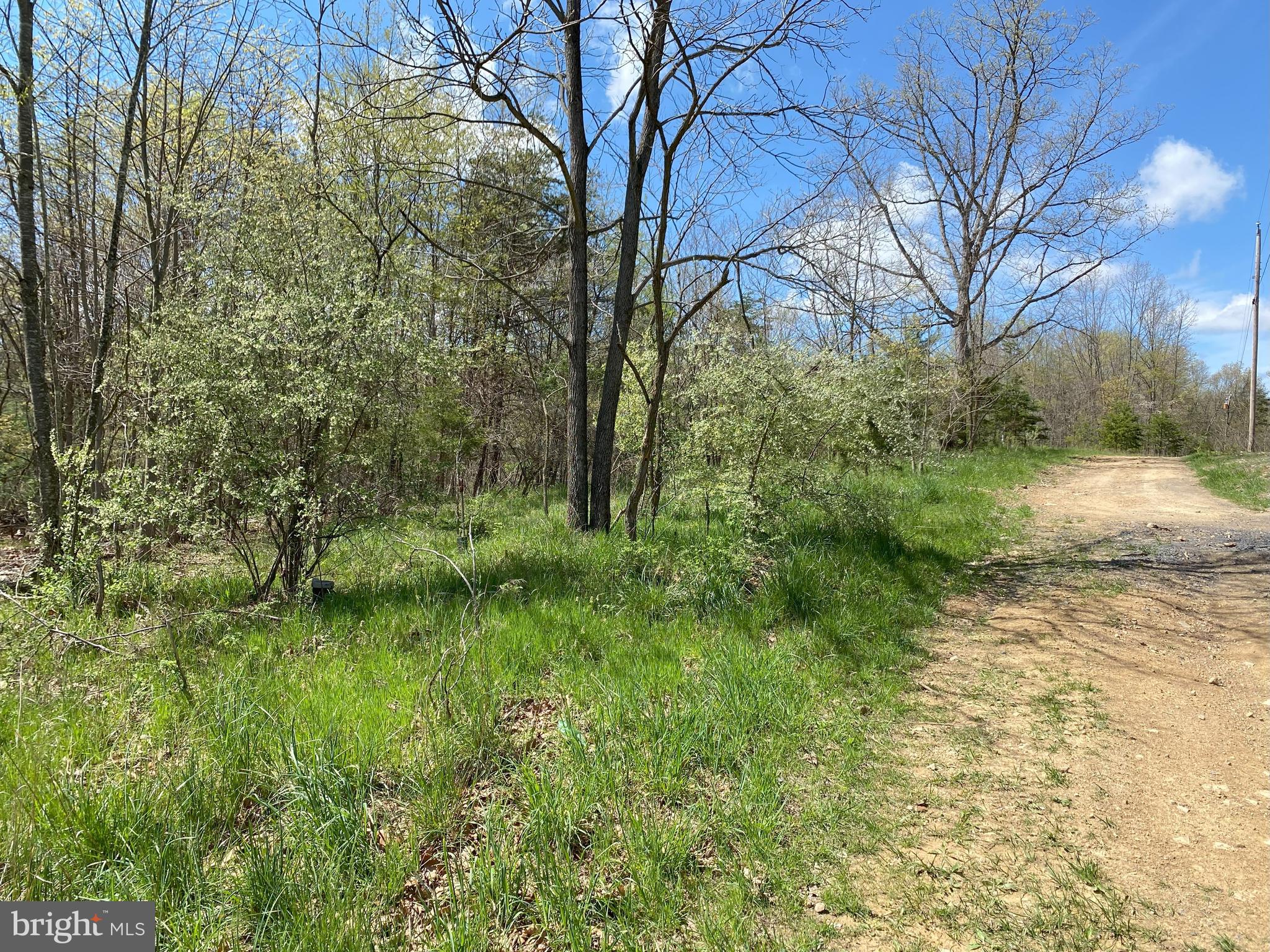 FRENCHBURG ESTATES - Land