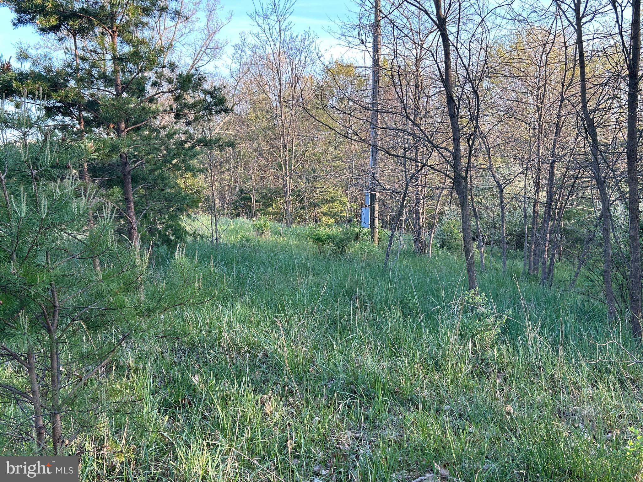 FRENCHBURG ESTATES - Land