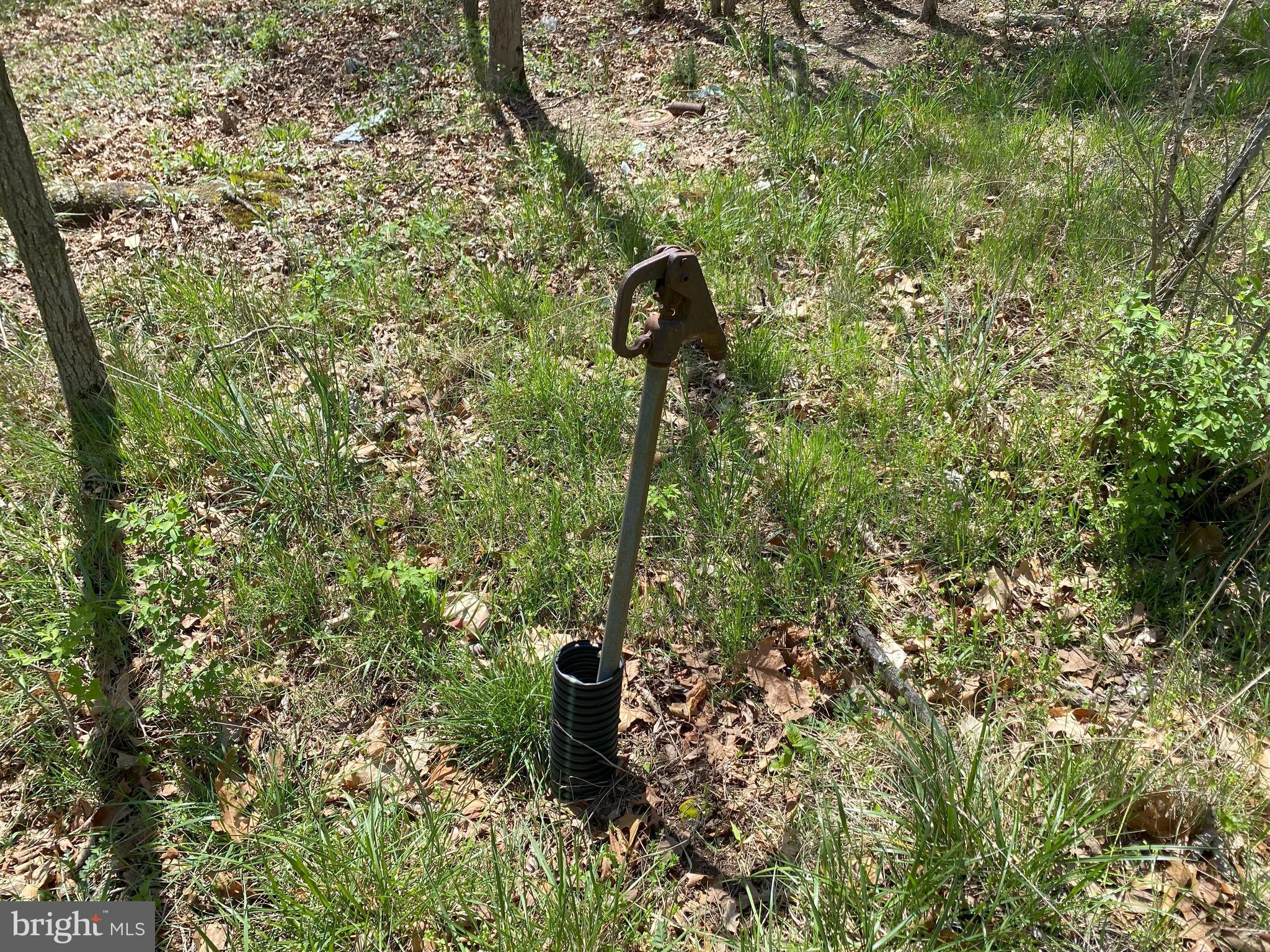 FRENCHBURG ESTATES - Land