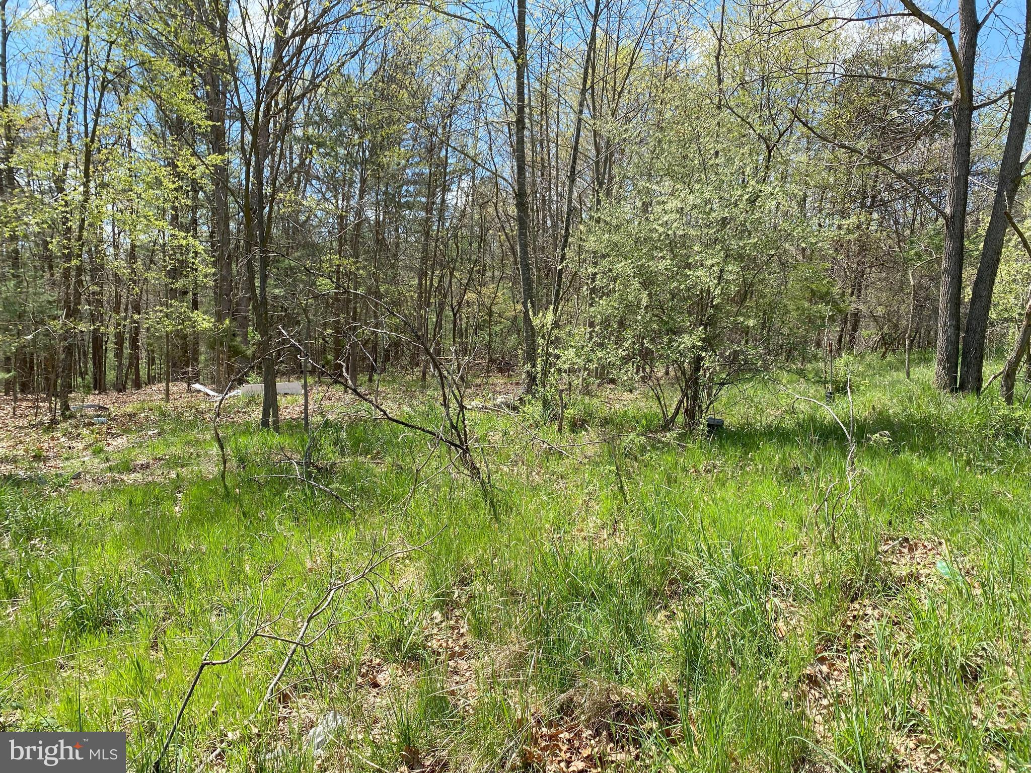 FRENCHBURG ESTATES - Land