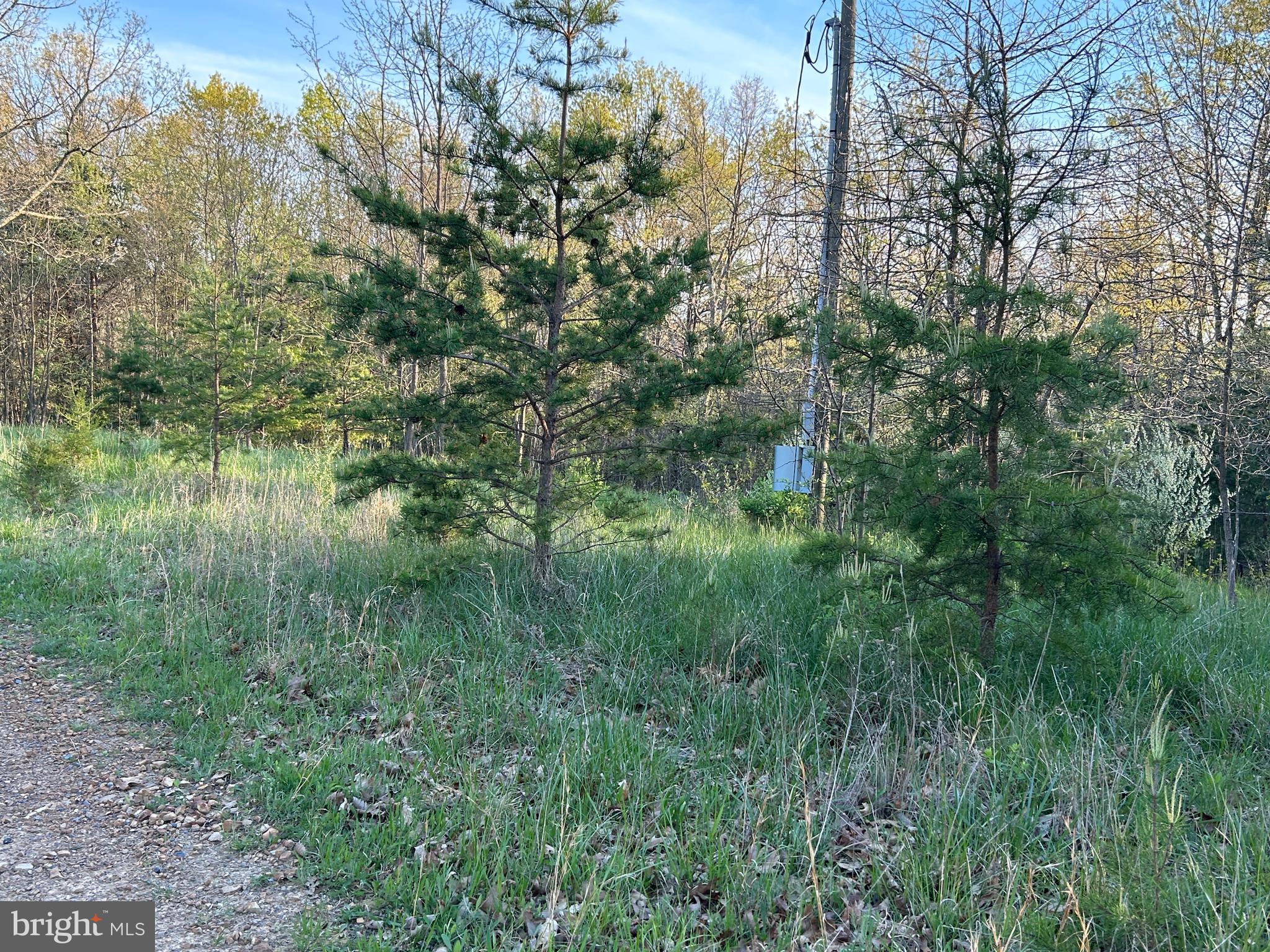 FRENCHBURG ESTATES - Land