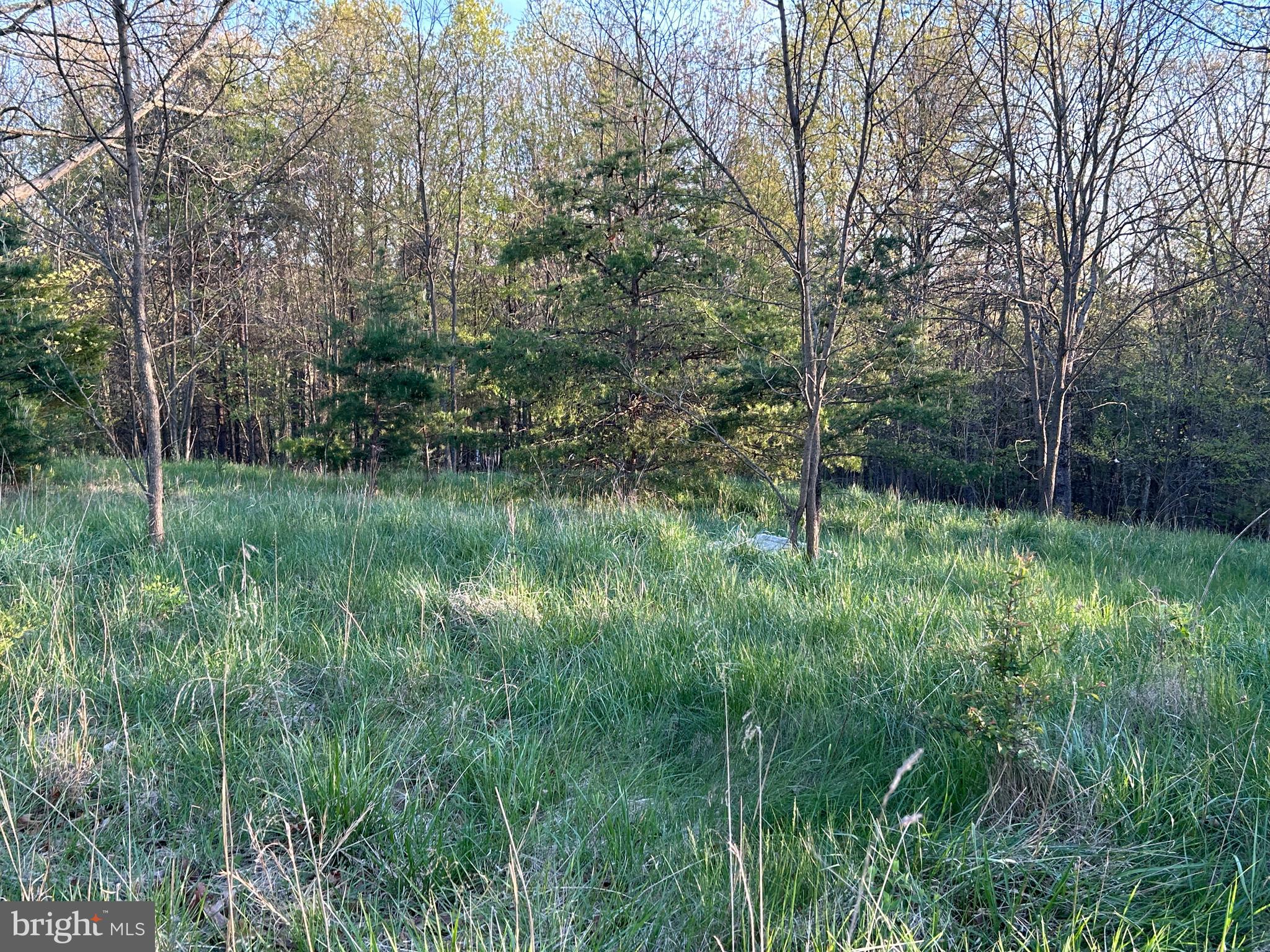 FRENCHBURG ESTATES - Land