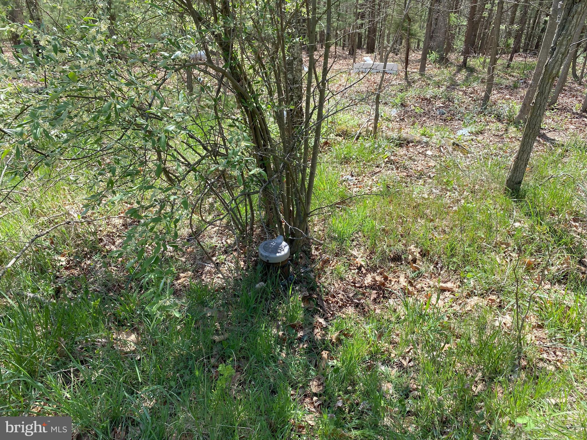 FRENCHBURG ESTATES - Land