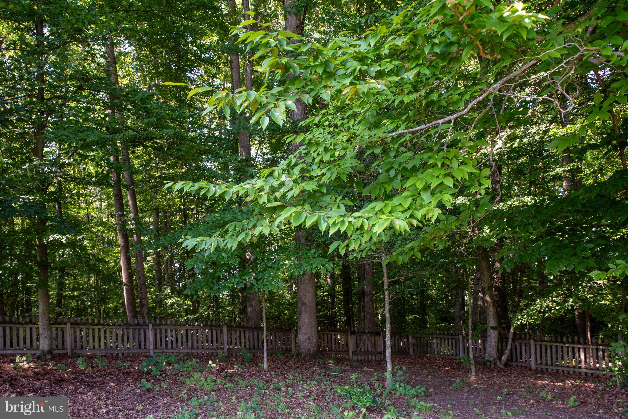 STAFFORD LAKES VILLAGE - Residential