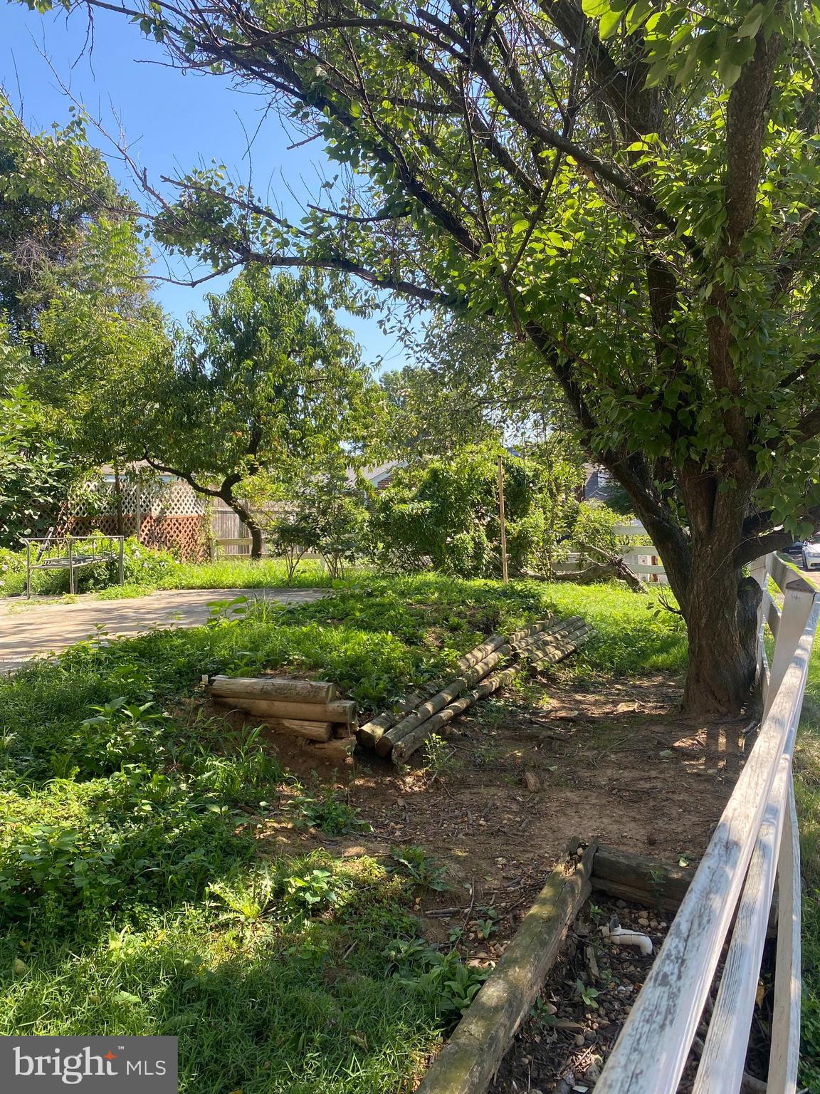 12 CENTRAL AVENUE