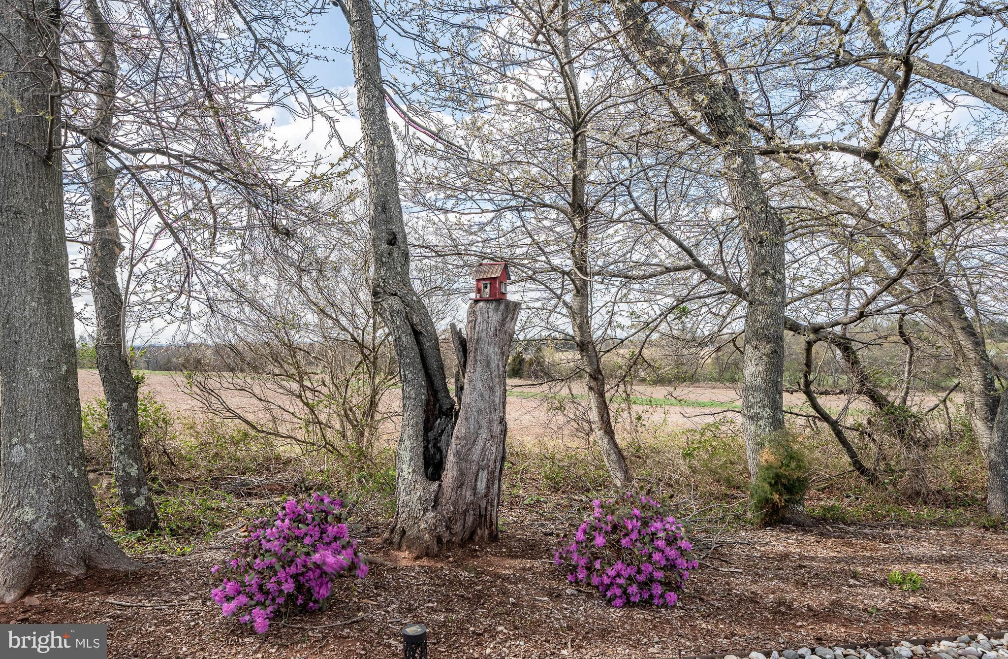 FOUNDERS RESERVE - Residential