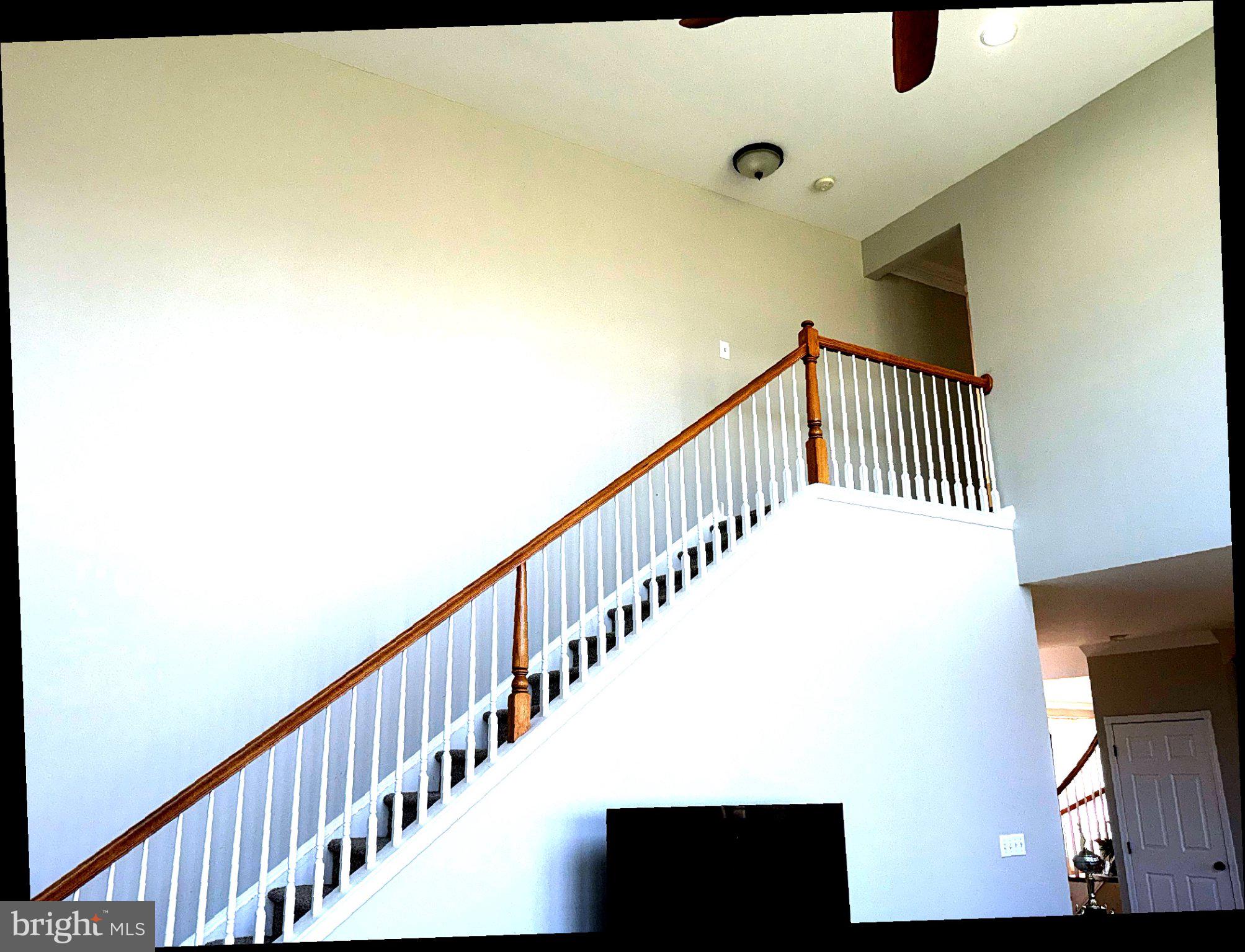 BUCKINGHAM FOREST - Residential