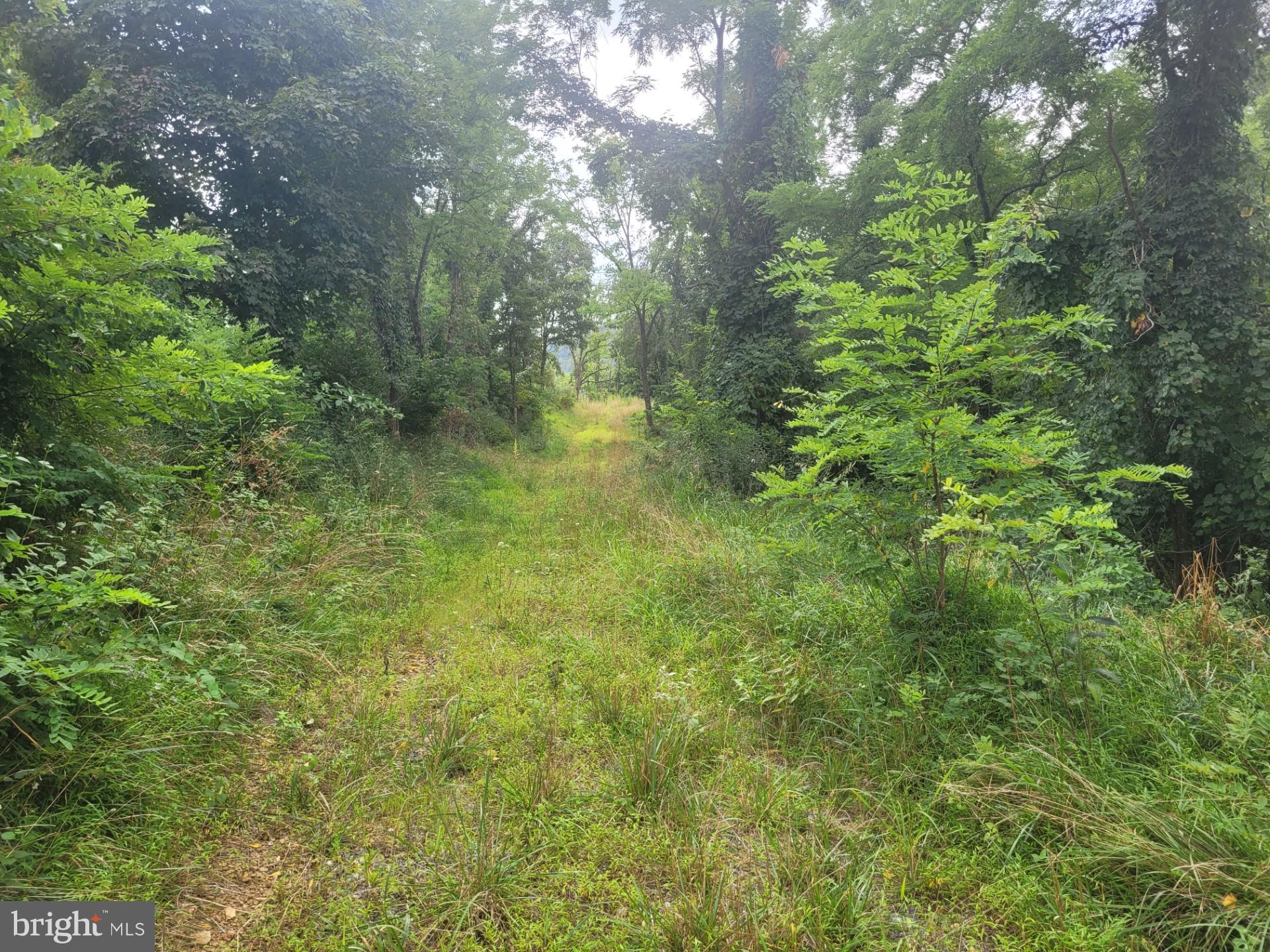 DEERFIELD HIGHLANDS - Land