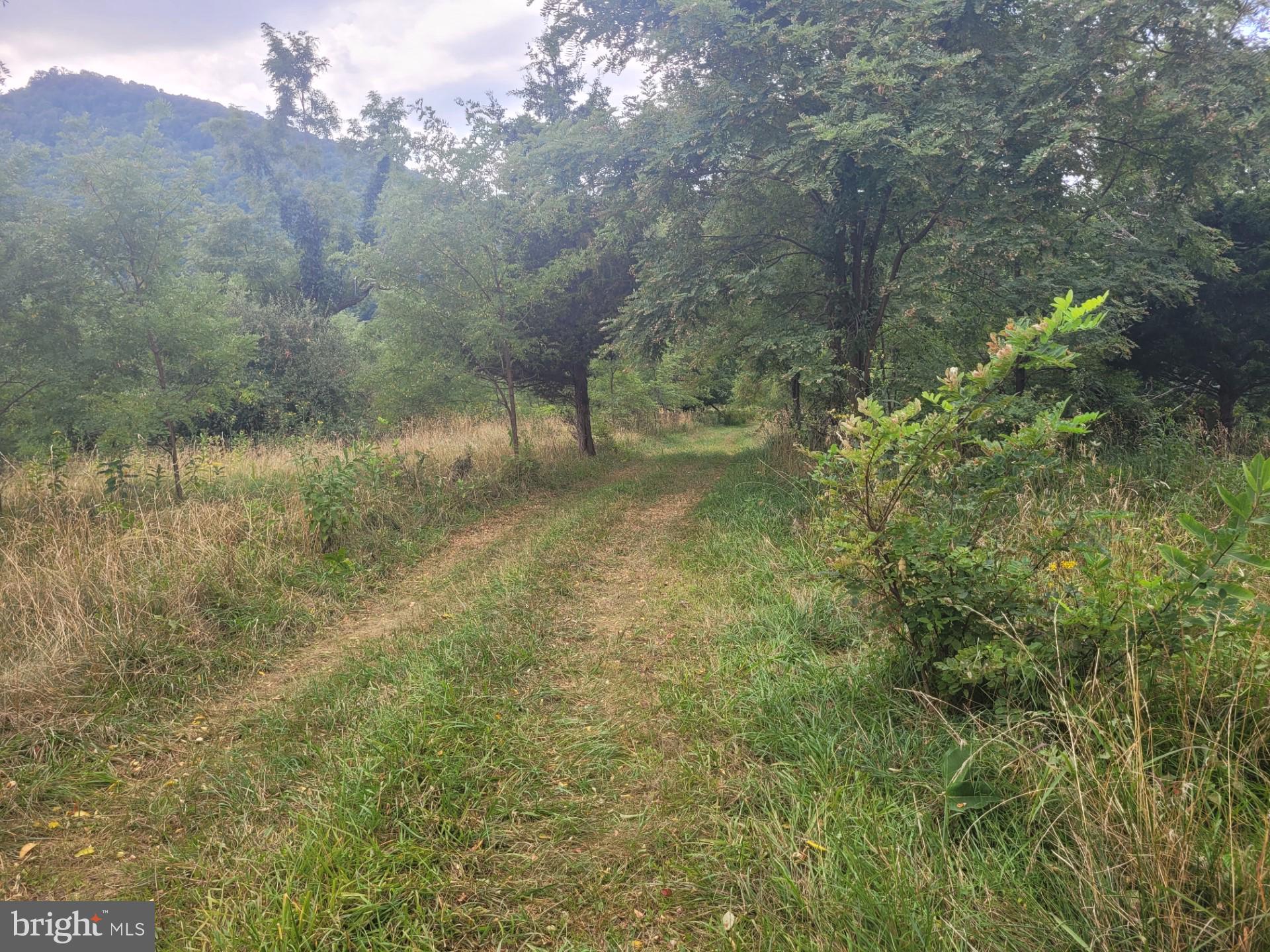 DEERFIELD HIGHLANDS - Land