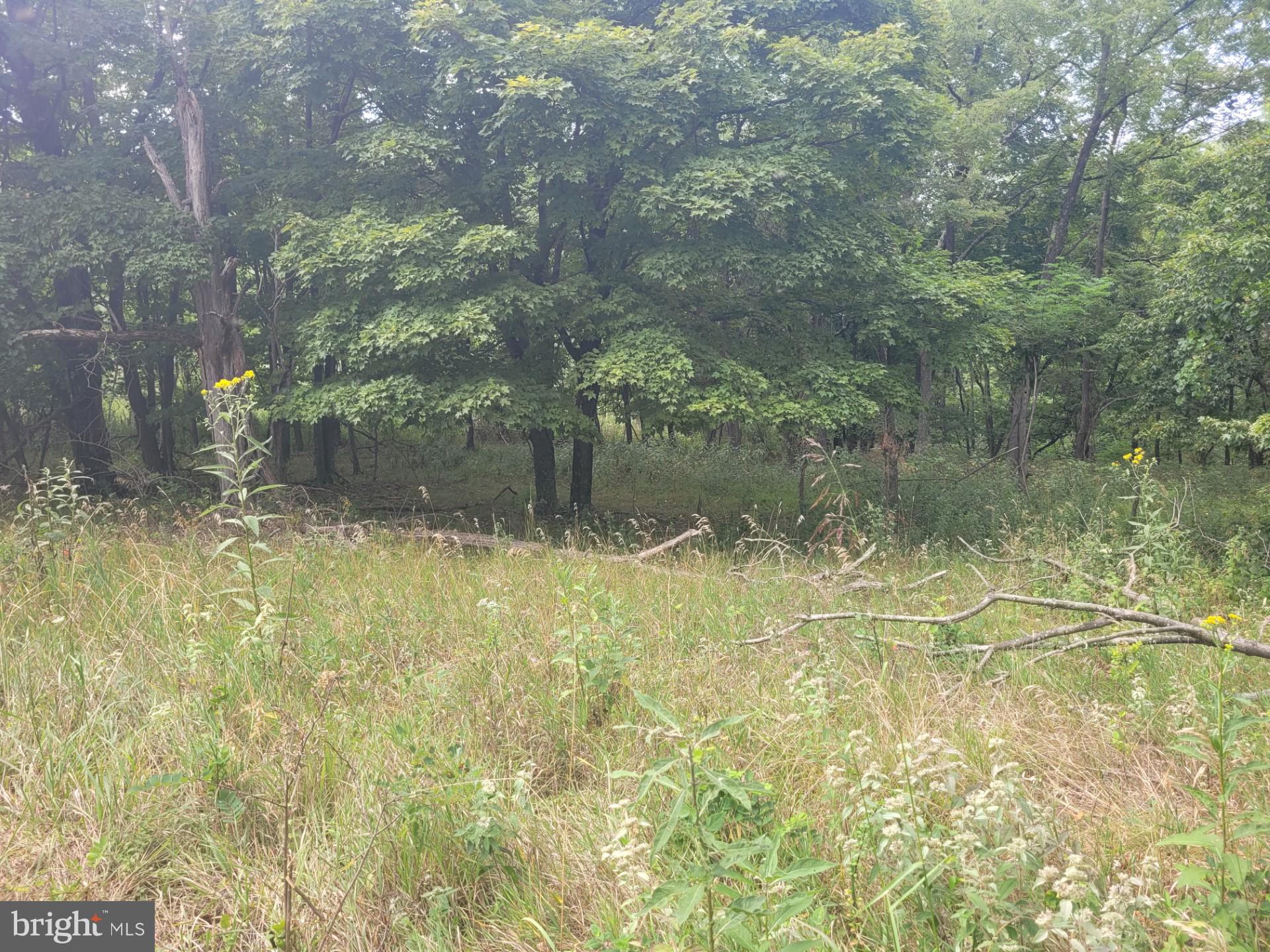 DEERFIELD HIGHLANDS - Land