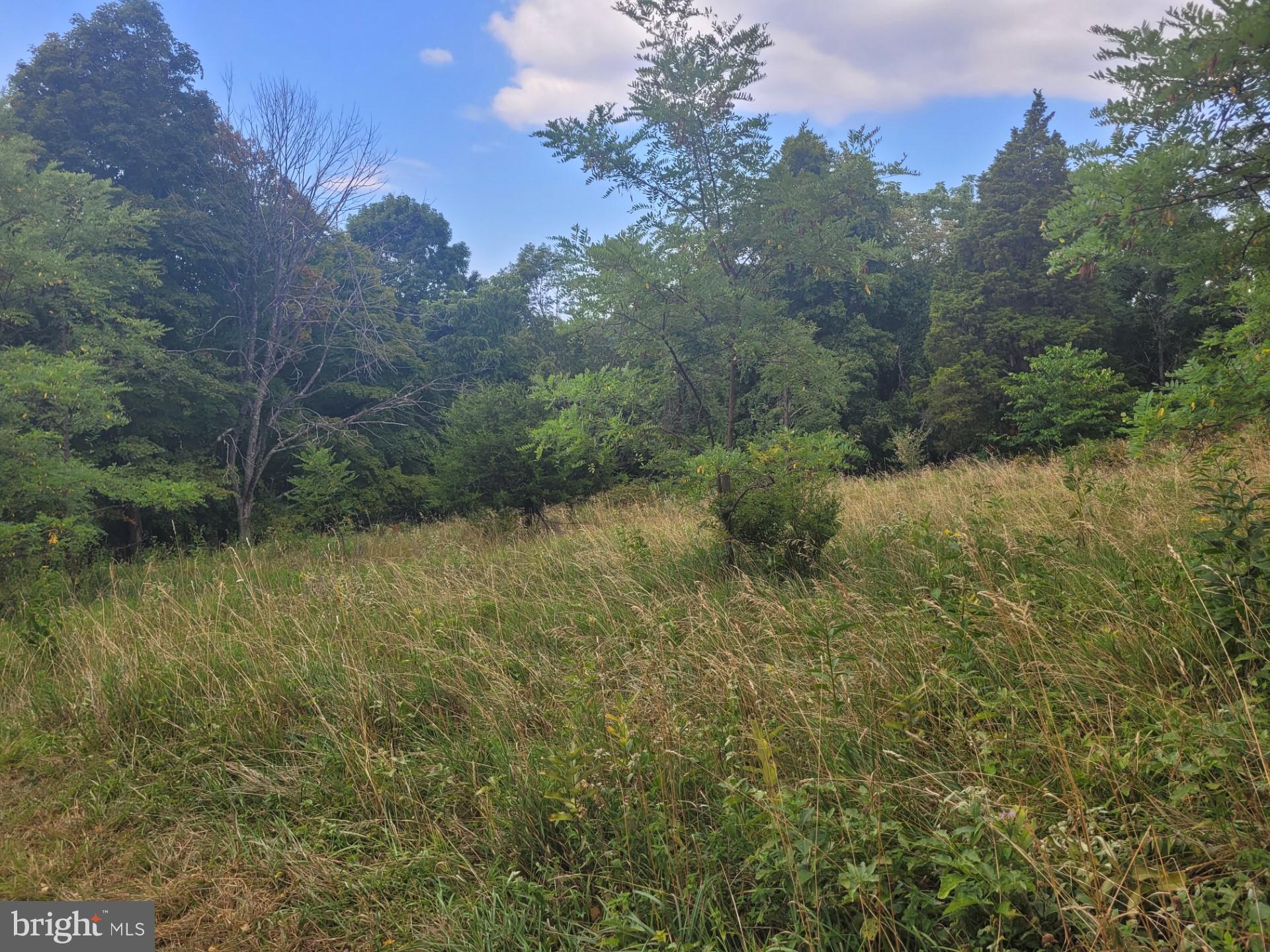 DEERFIELD HIGHLANDS - Land