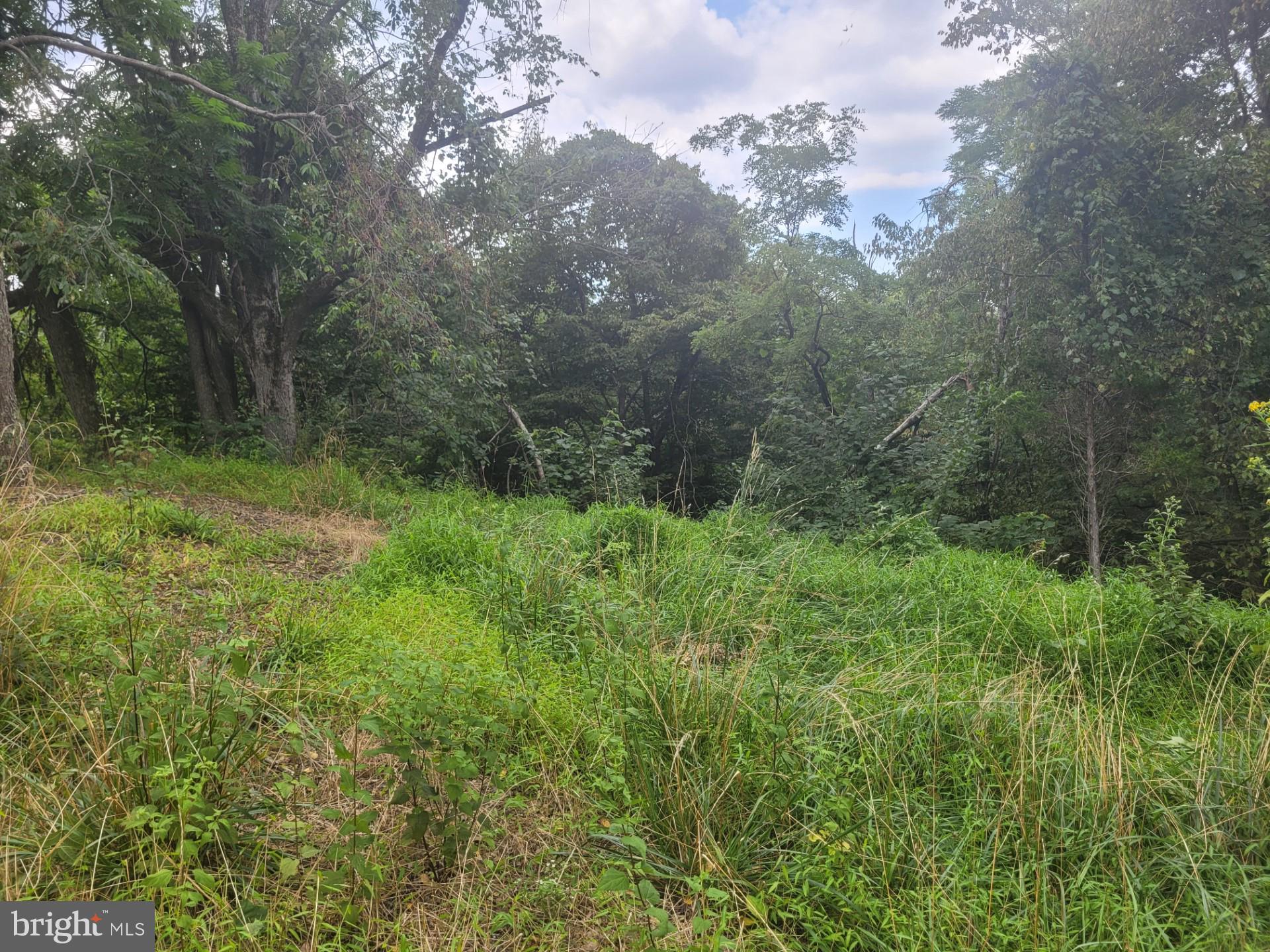 DEERFIELD HIGHLANDS - Land