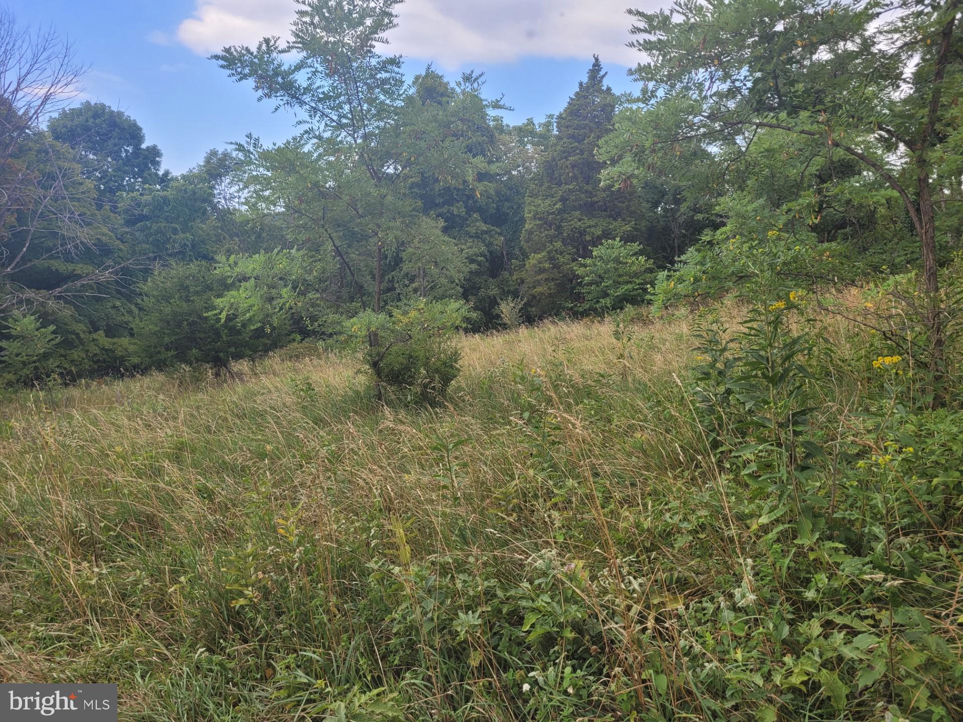 DEERFIELD HIGHLANDS - Land