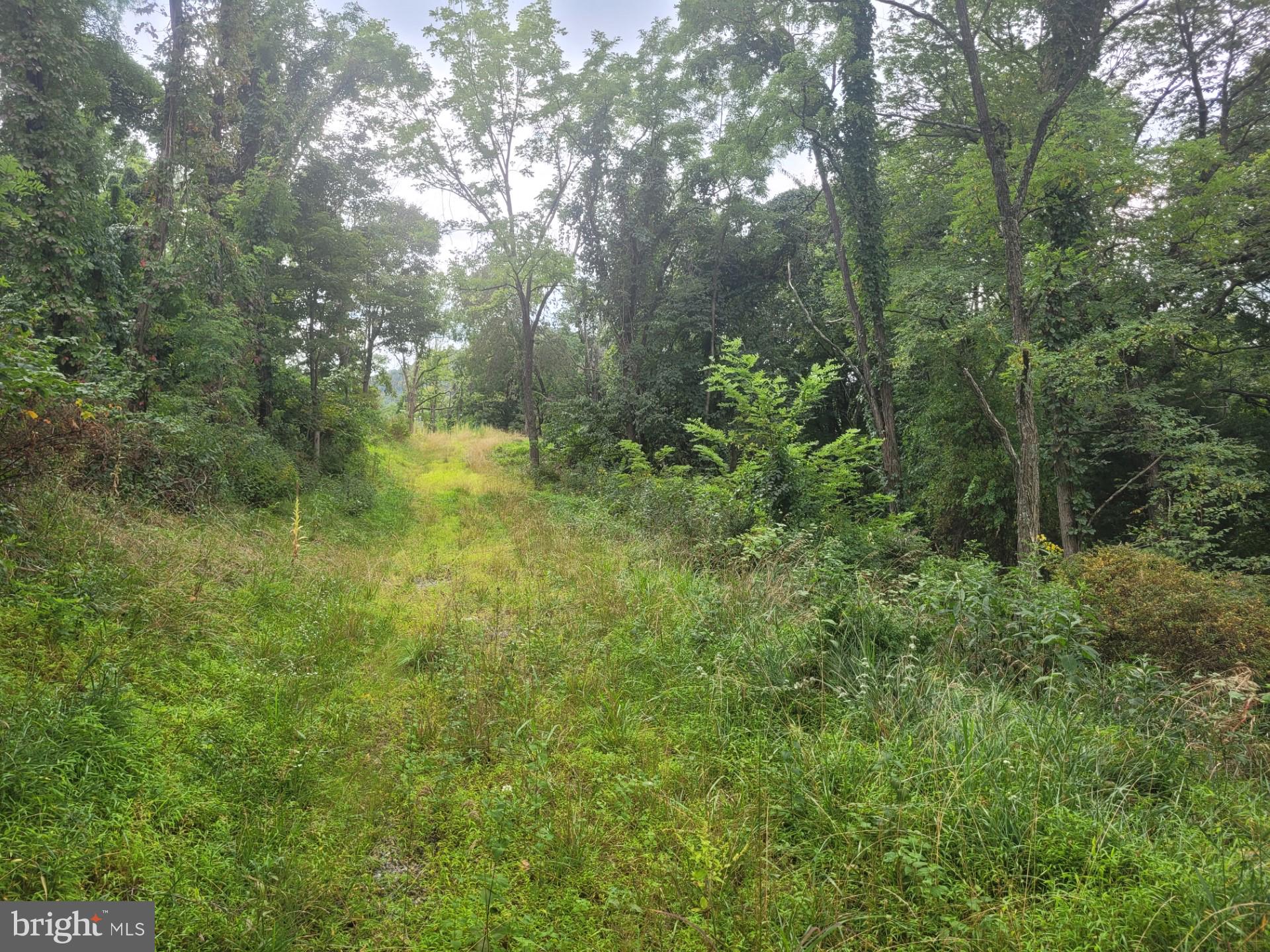 DEERFIELD HIGHLANDS - Land