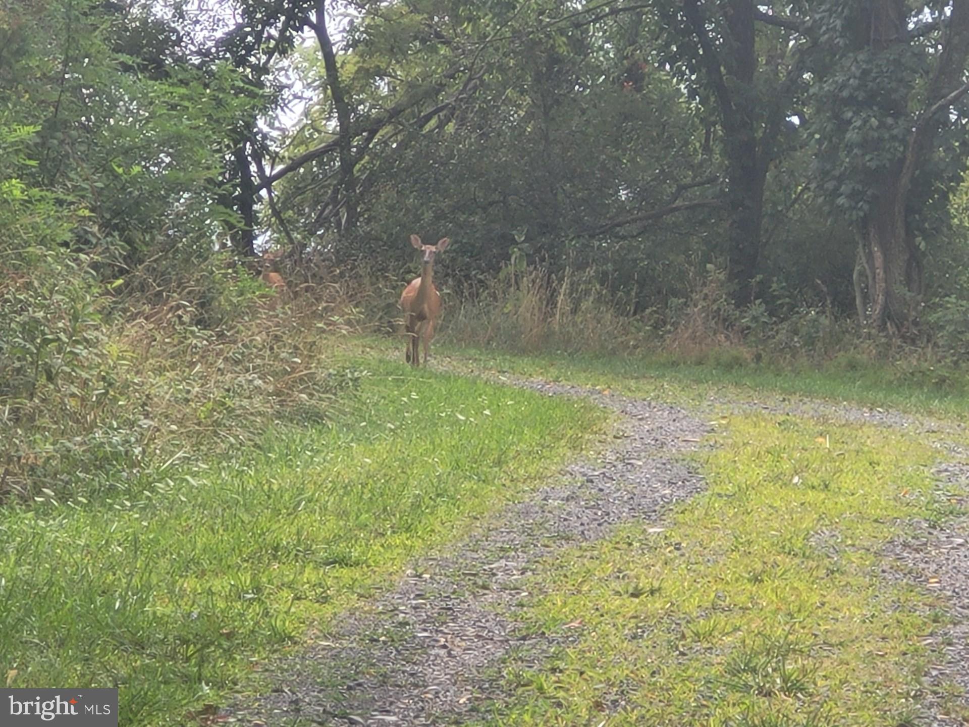 DEERFIELD HIGHLANDS - Land