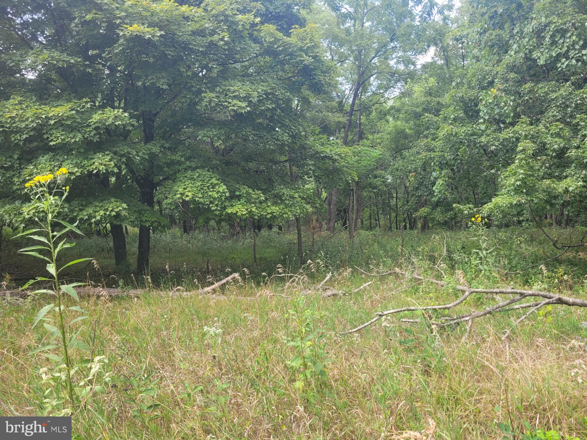 DEERFIELD HIGHLANDS - Land