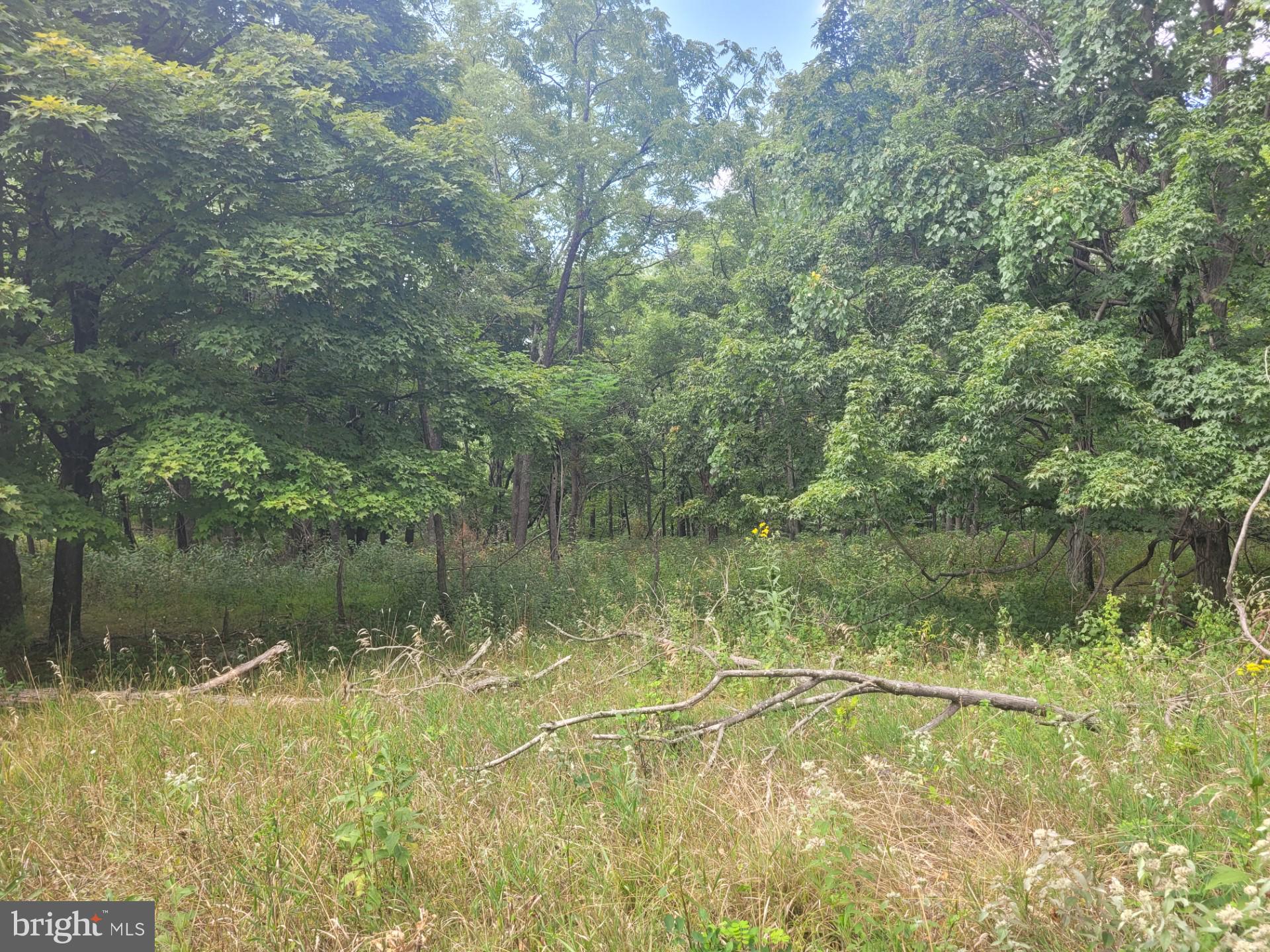 DEERFIELD HIGHLANDS - Land