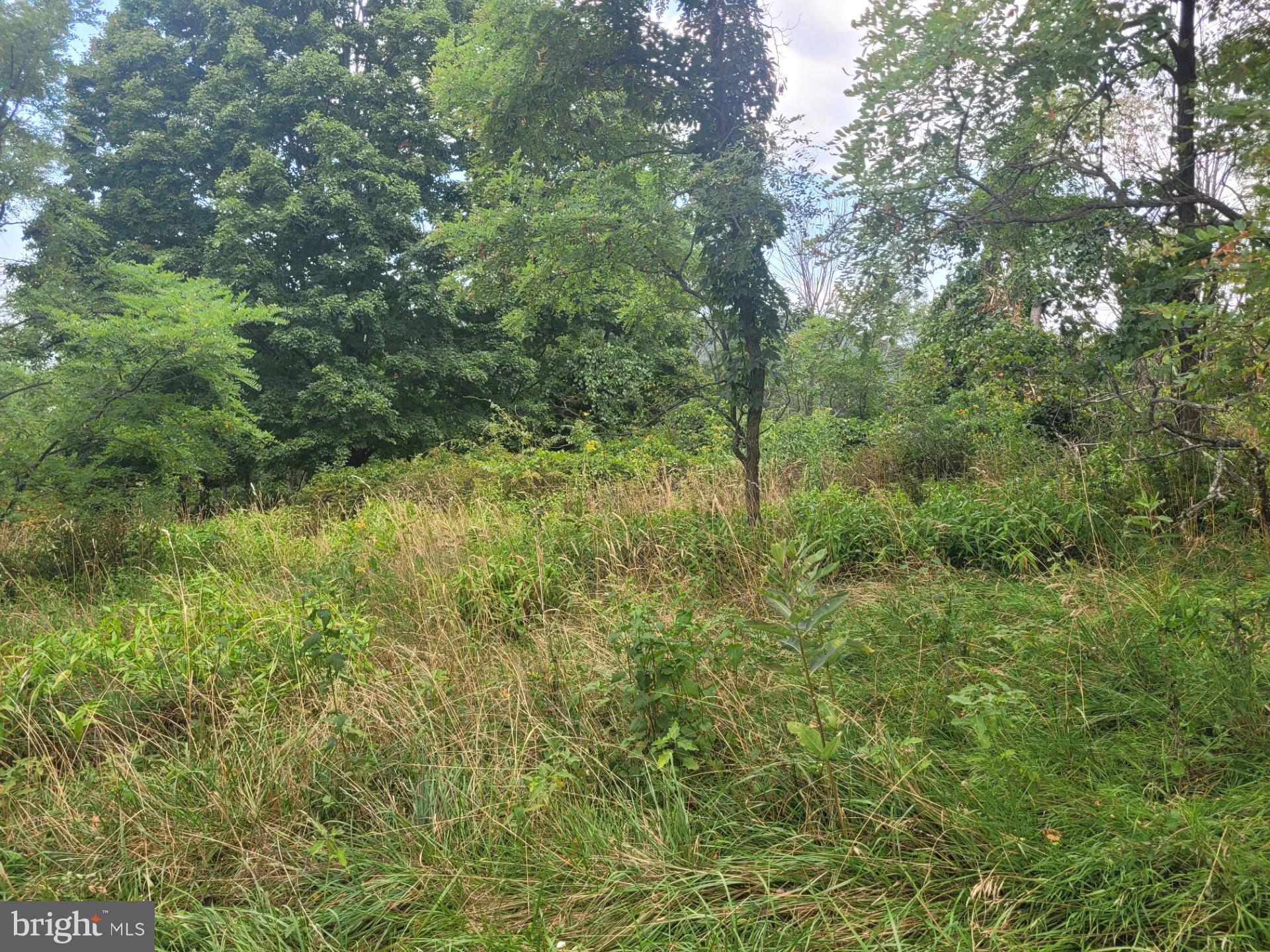 DEERFIELD HIGHLANDS - Land