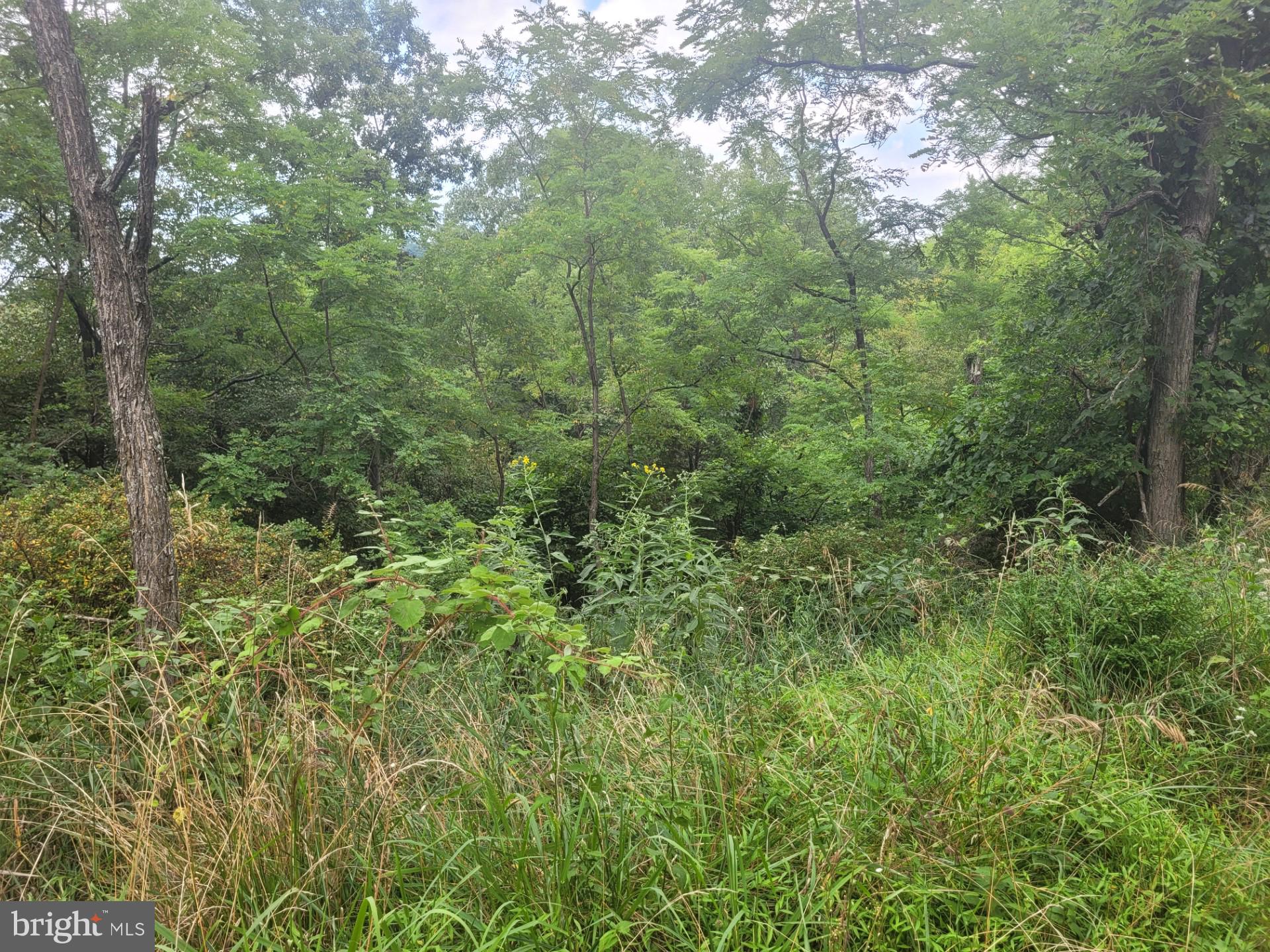 DEERFIELD HIGHLANDS - Land