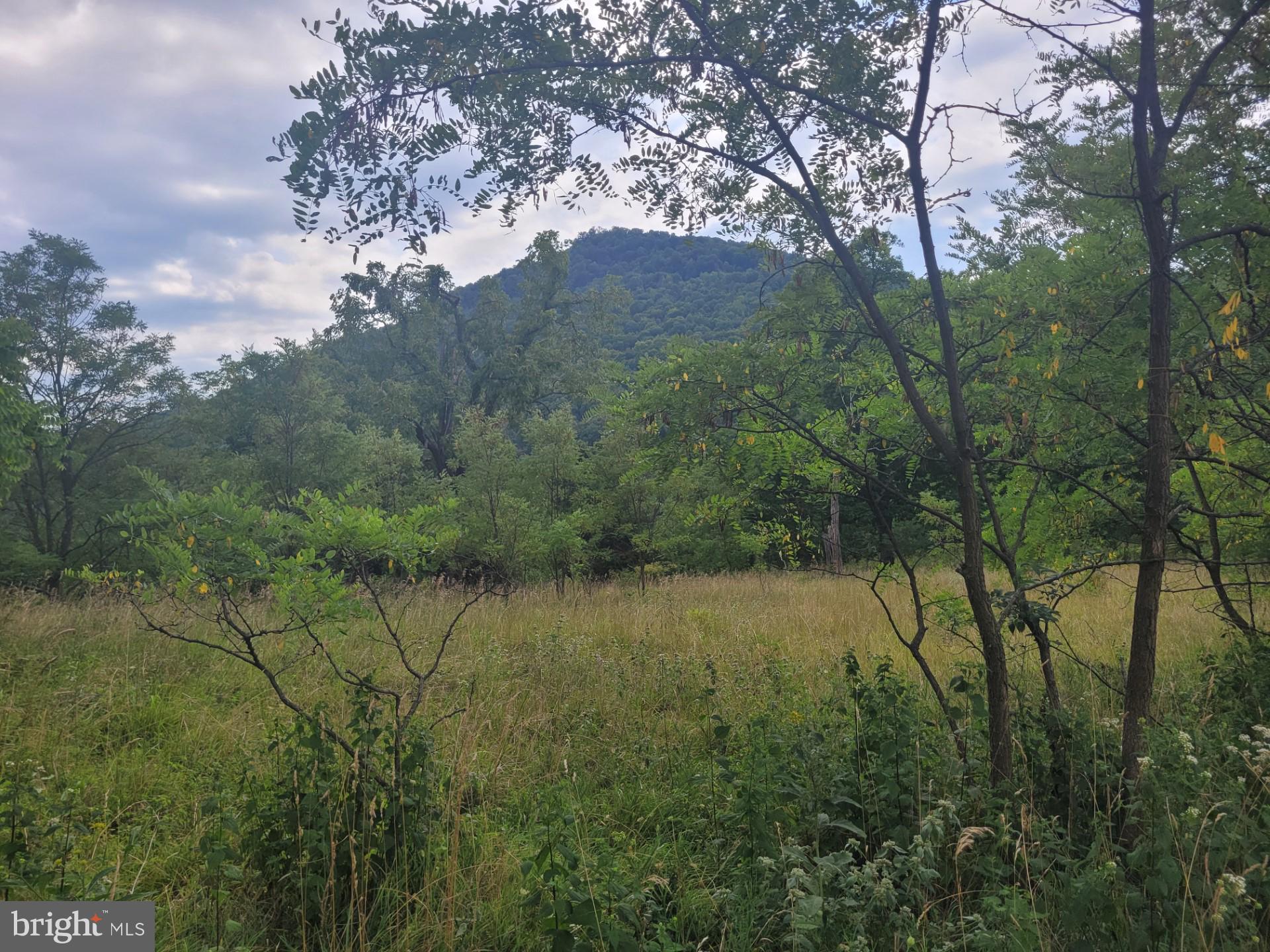 DEERFIELD HIGHLANDS - Land