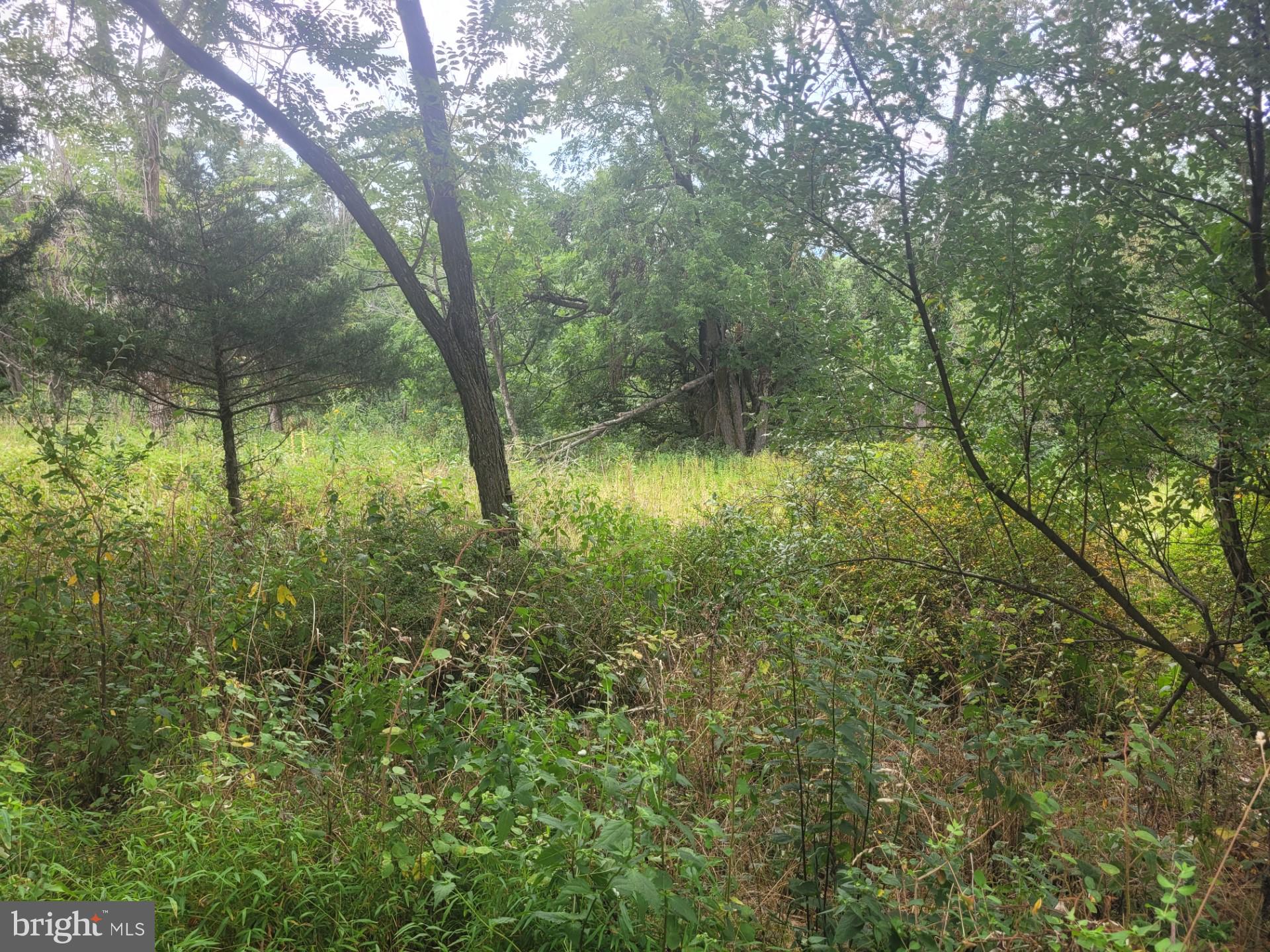 DEERFIELD HIGHLANDS - Land