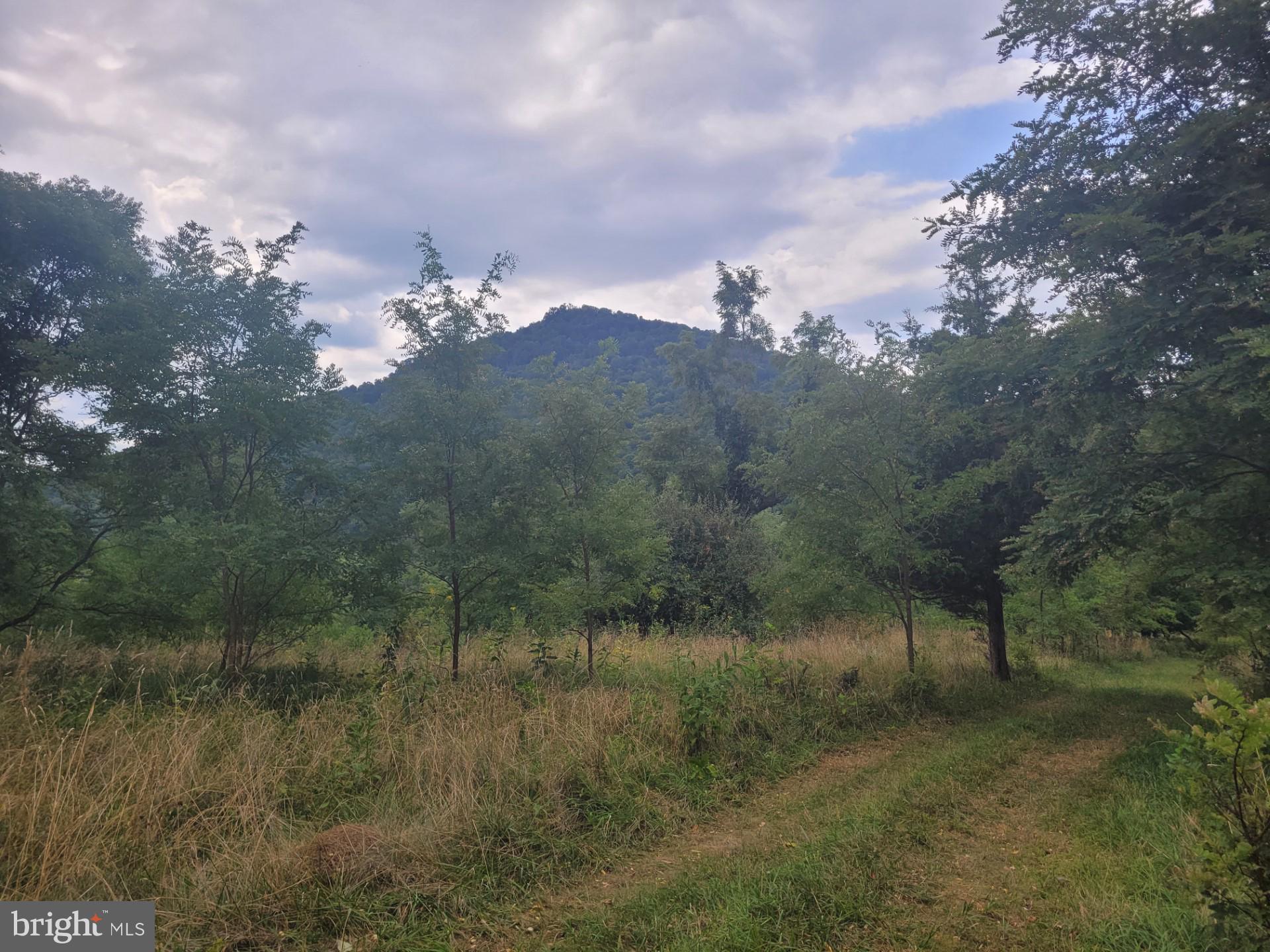 DEERFIELD HIGHLANDS - Land