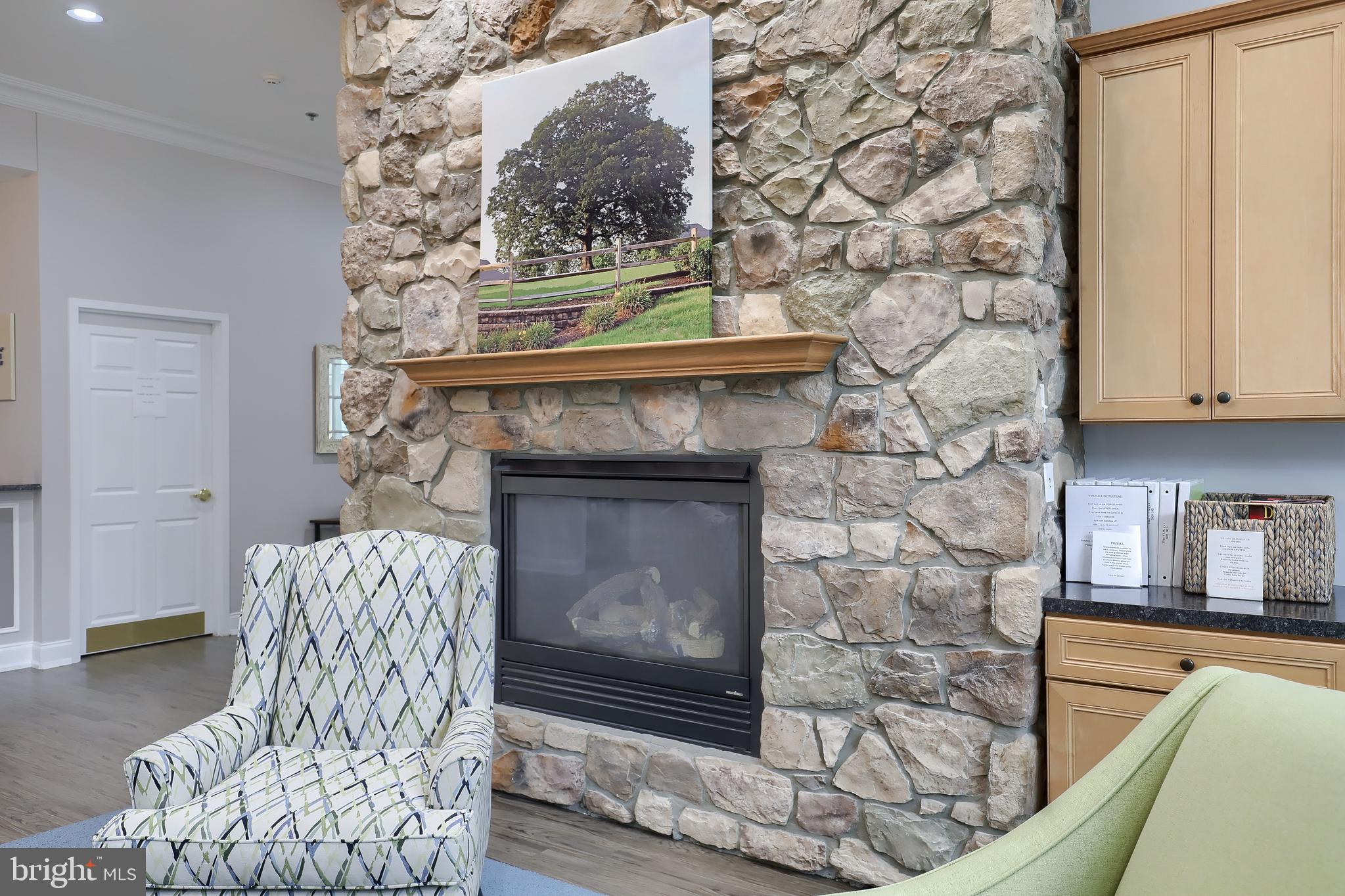 VILLAGE GRANDE - Residential