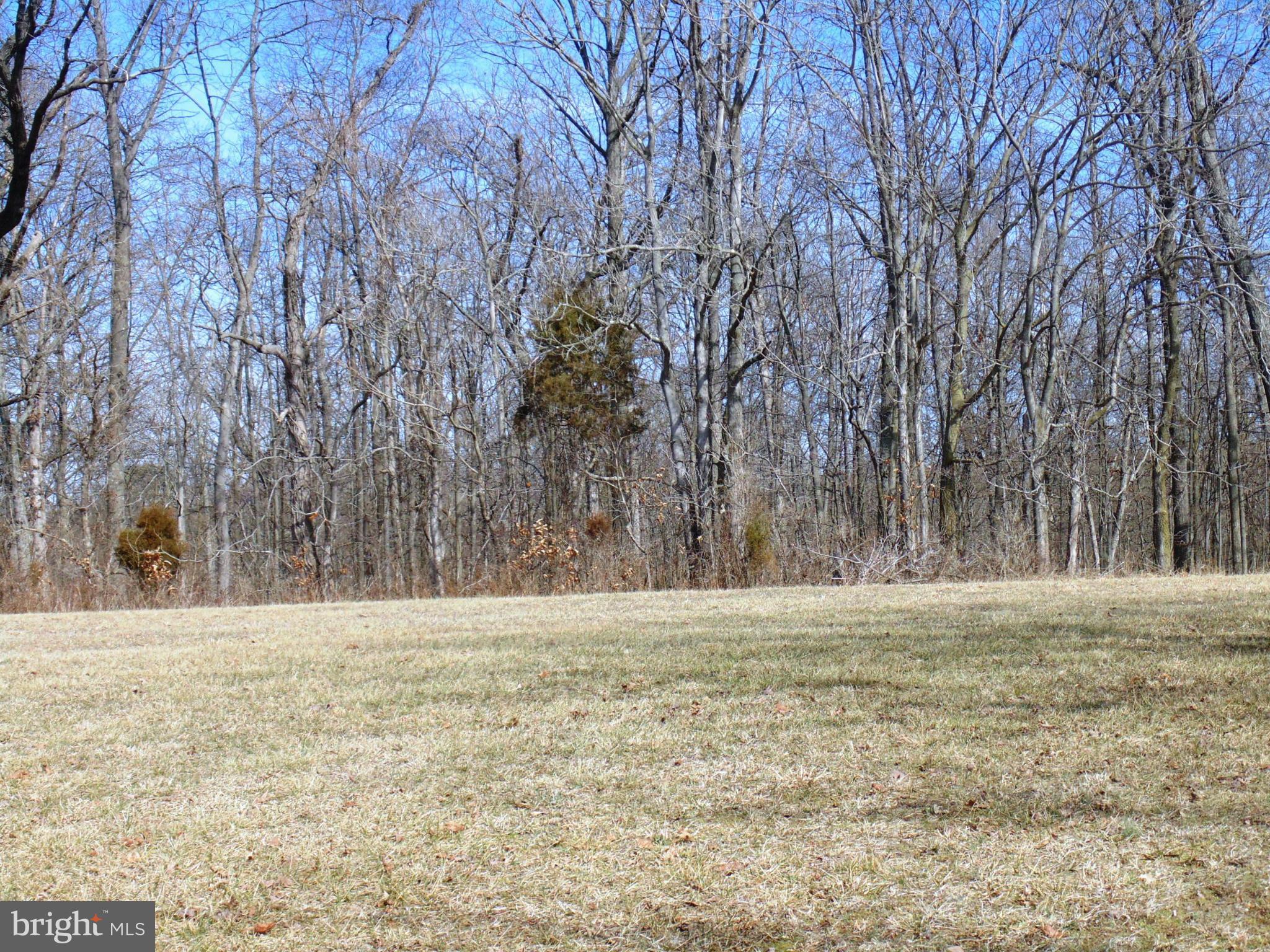 GRANT ACRES ESTATES - Land