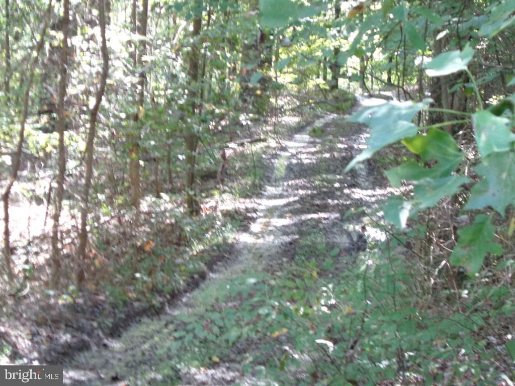 NONE AVAILABLE - Land