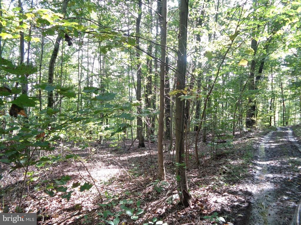 NONE AVAILABLE - Land