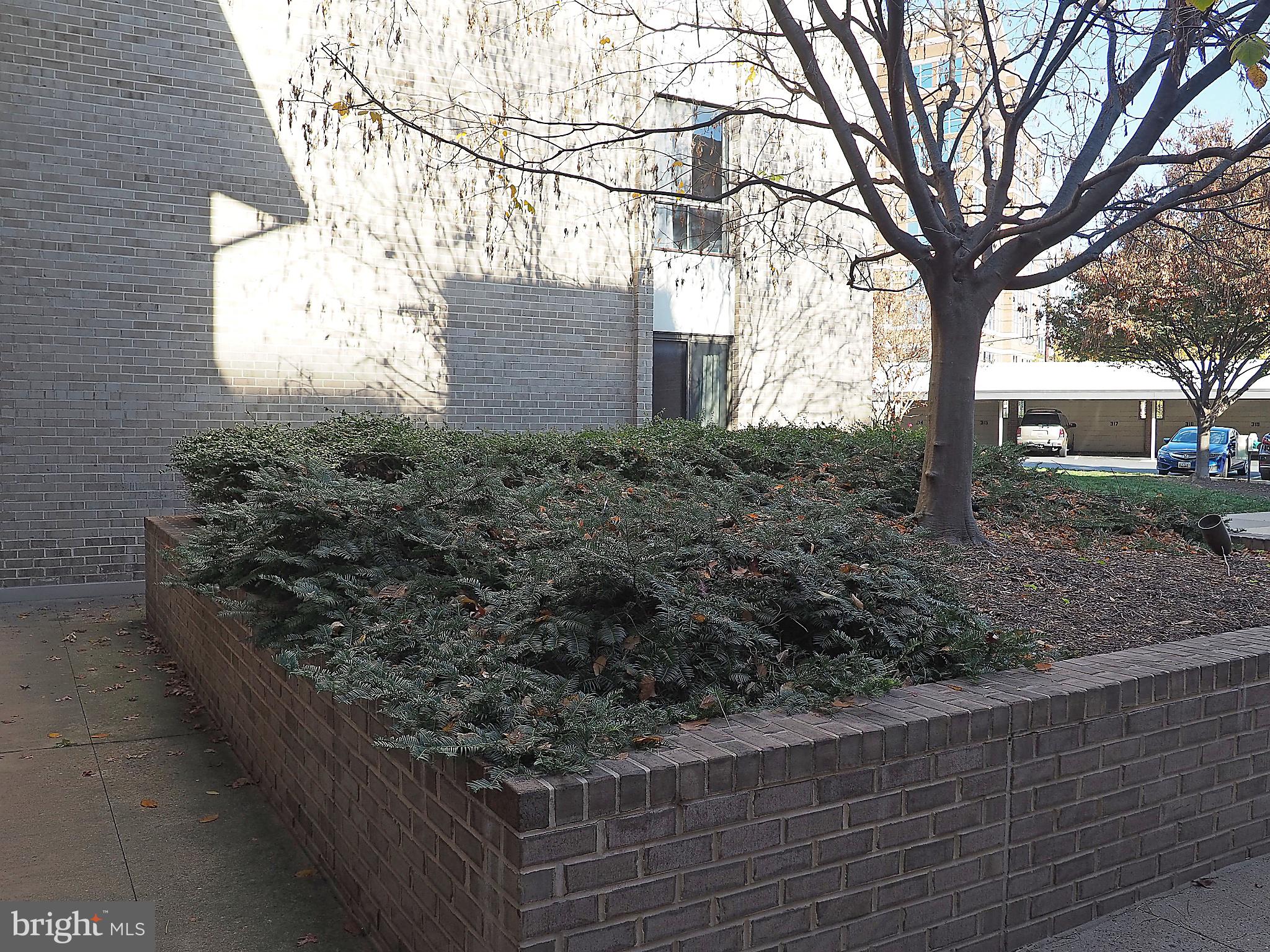 AMERICANA CENTRE - Residential