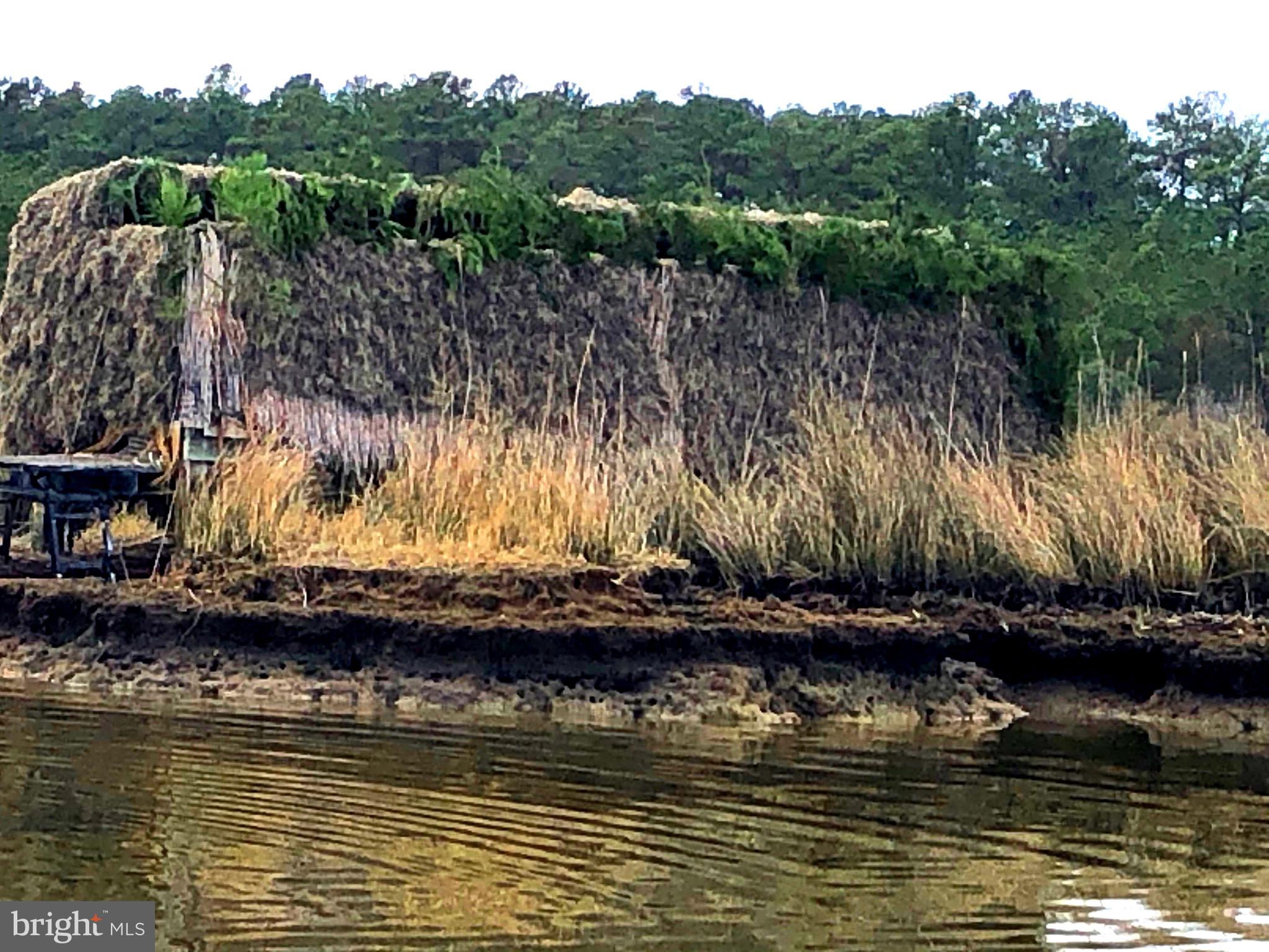 RAGGED POINT - Residential