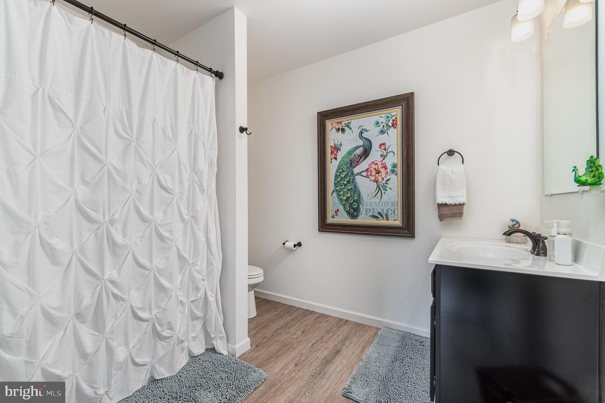 THE VIEWS AT BRIDGEWATER - Residential