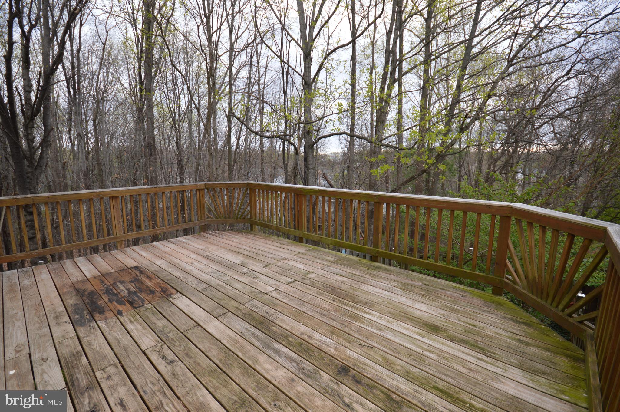 HOLLYMEAD - Residential Lease