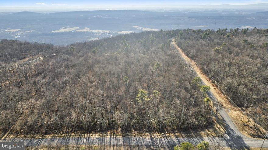 Check out this amazing 0.46-acre lot perched atop beautiful Shawneeland in Winchester, Virginia! This level, wooded CORNER LOT has the potential for jaw-dropping views!! It sits right across from the Tuscarora Trail/Pinnacle Overlook Trailhead — a dream location for hikers and outdoor enthusiasts who want instant access to some of the best trails around. Plus, you’re just 30 minutes from downtown Winchester, so you get the best of both worlds: tranquility AND easy access to all the shops, restaurants, and entertainment the city has to offer. Whether you’re looking for a weekend getaway spot, a future project, or a solid investment, this lot is a fantastic opportunity you won’t want to miss! Reach out today to learn more or schedule a visit!