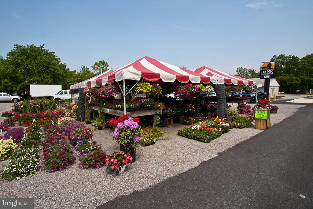 MAGOTHY BEACH - Residential