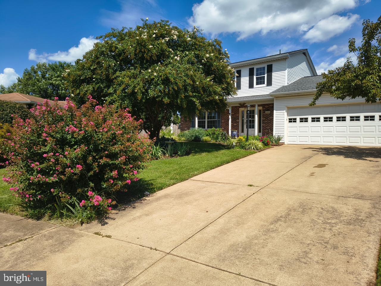10028 ELDERBERRY COURT