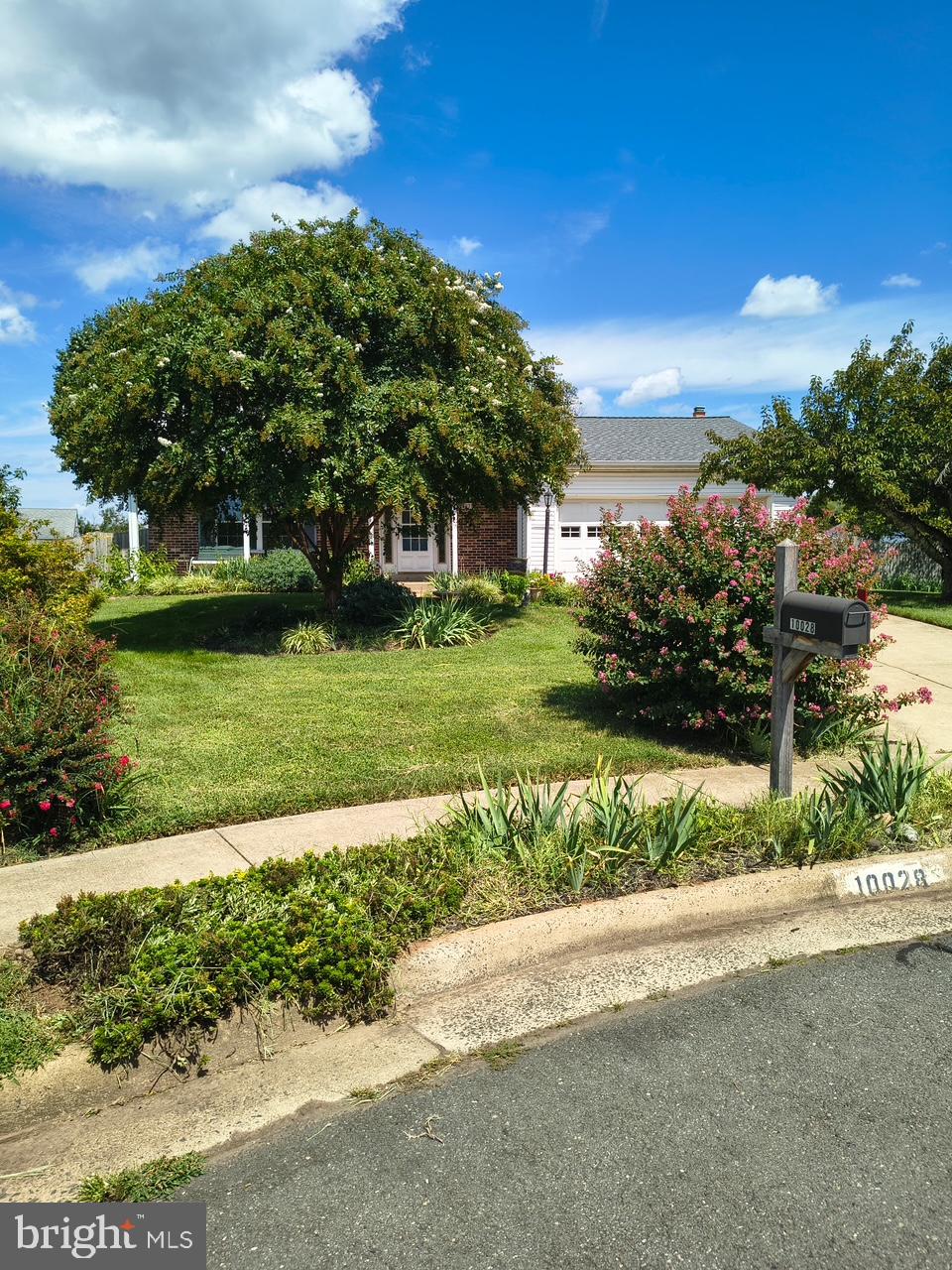 10028 ELDERBERRY COURT