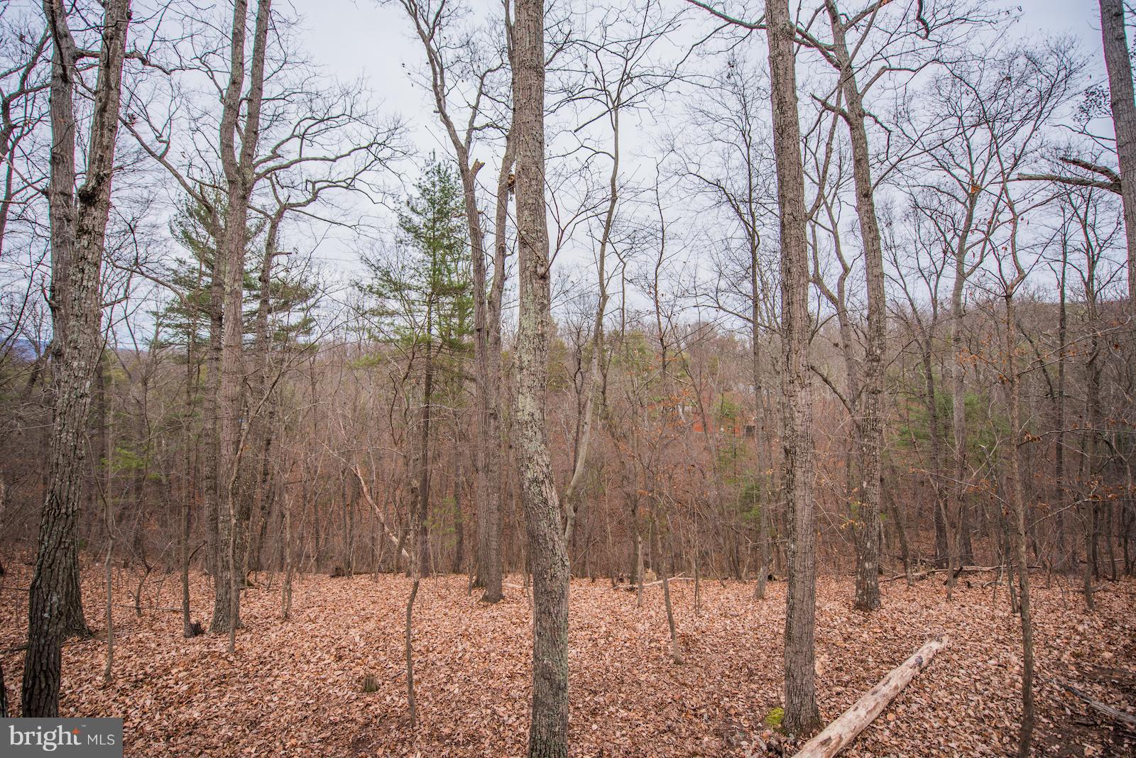 GLENWOOD FOREST - Residential