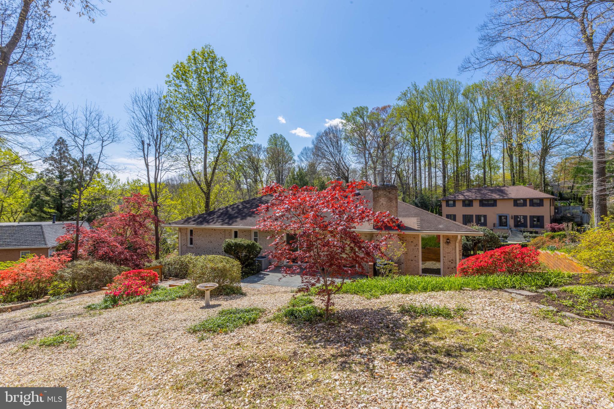 CHAIN BRIDGE FOREST - Residential