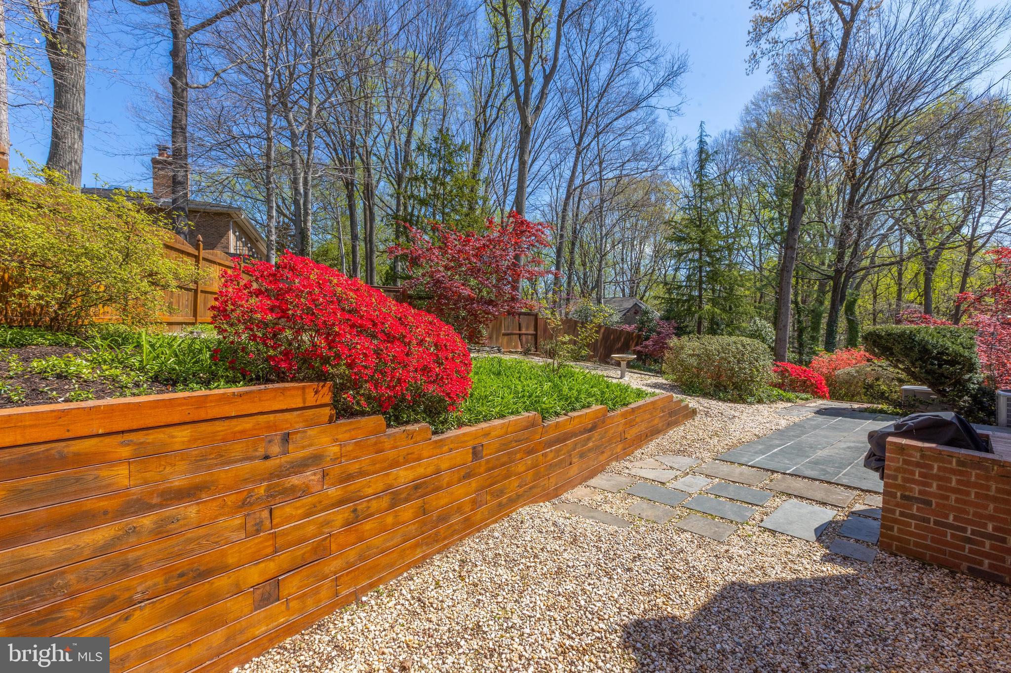 CHAIN BRIDGE FOREST - Residential