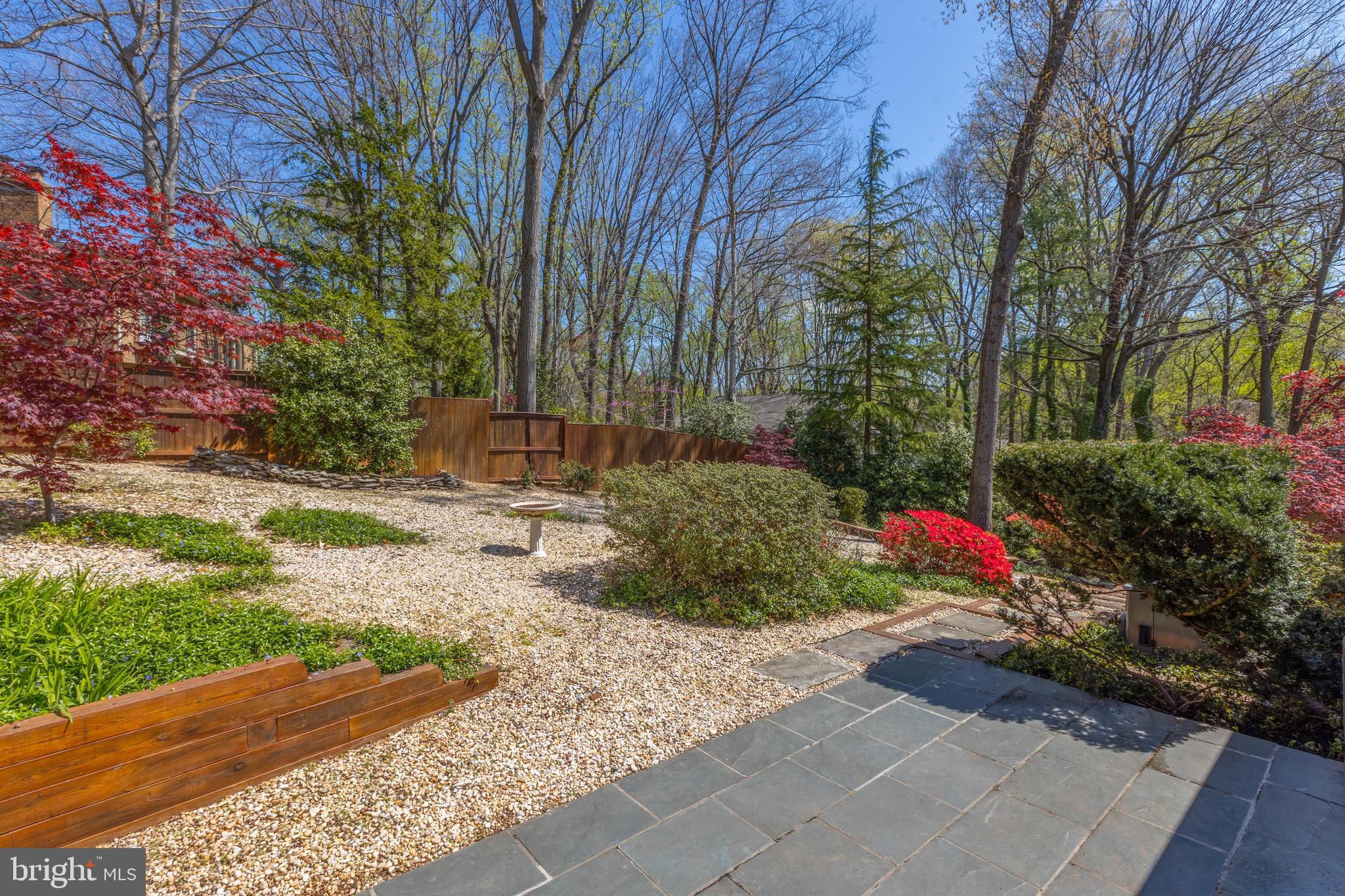 CHAIN BRIDGE FOREST - Residential
