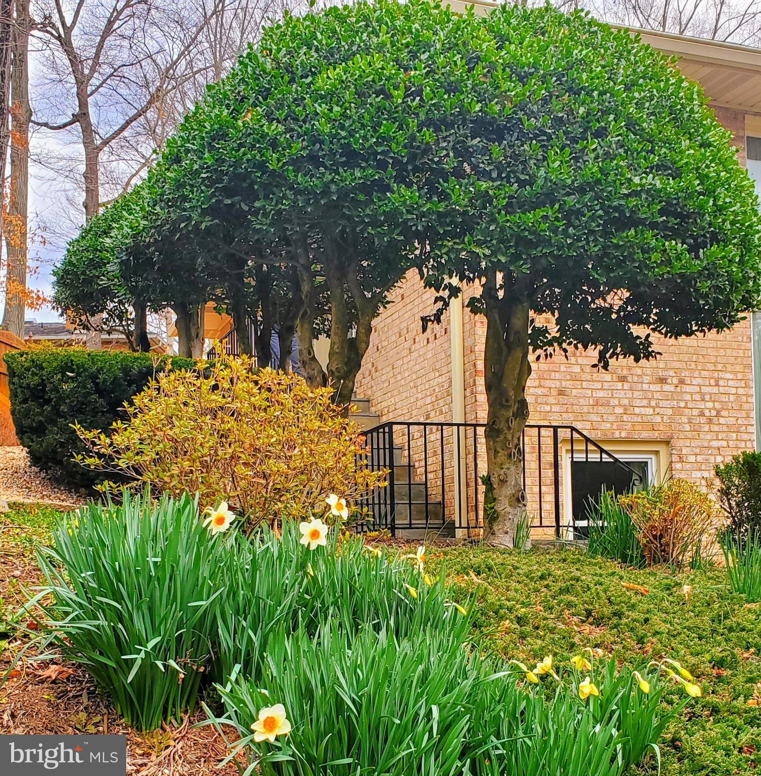 CHAIN BRIDGE FOREST - Residential