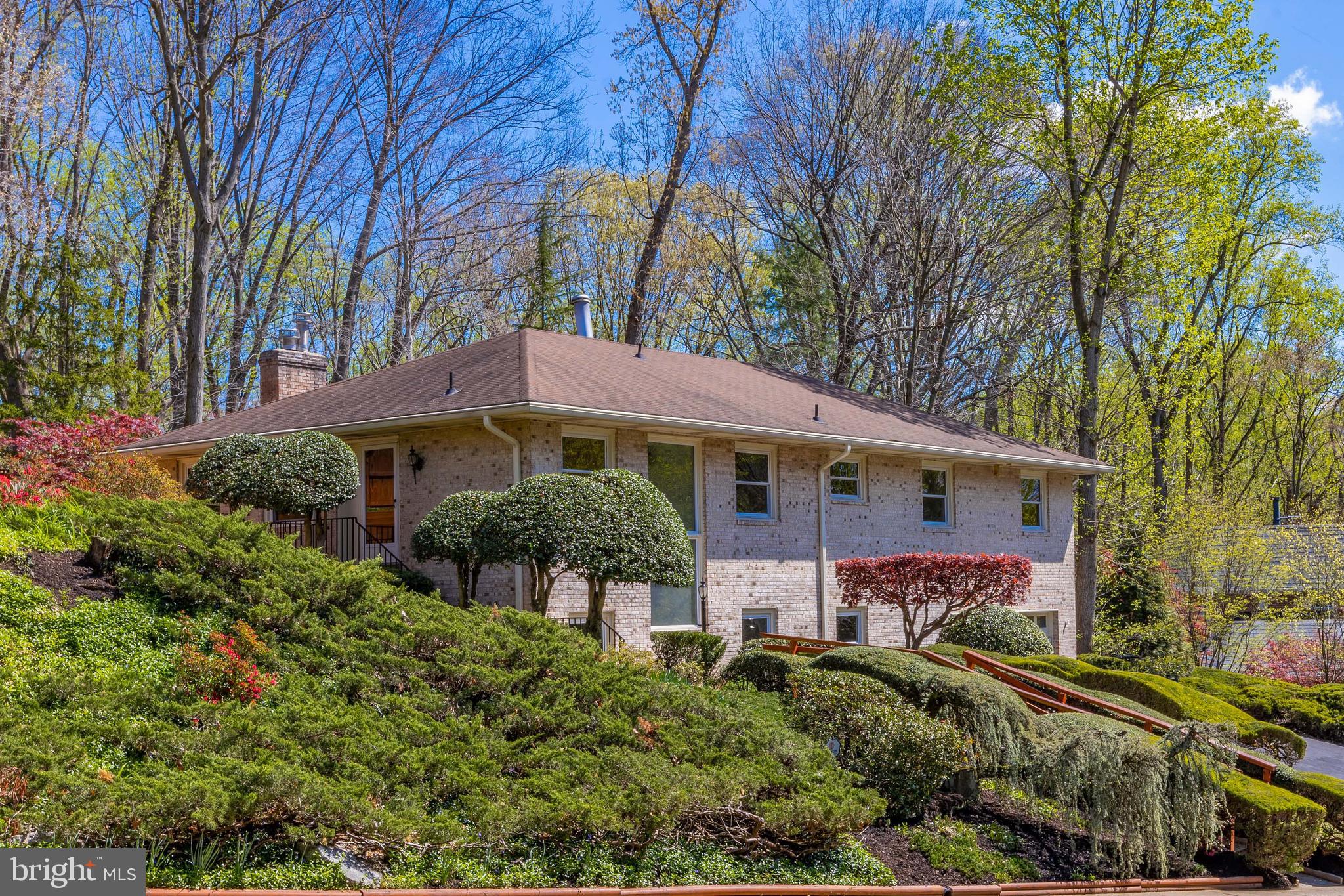 CHAIN BRIDGE FOREST - Residential