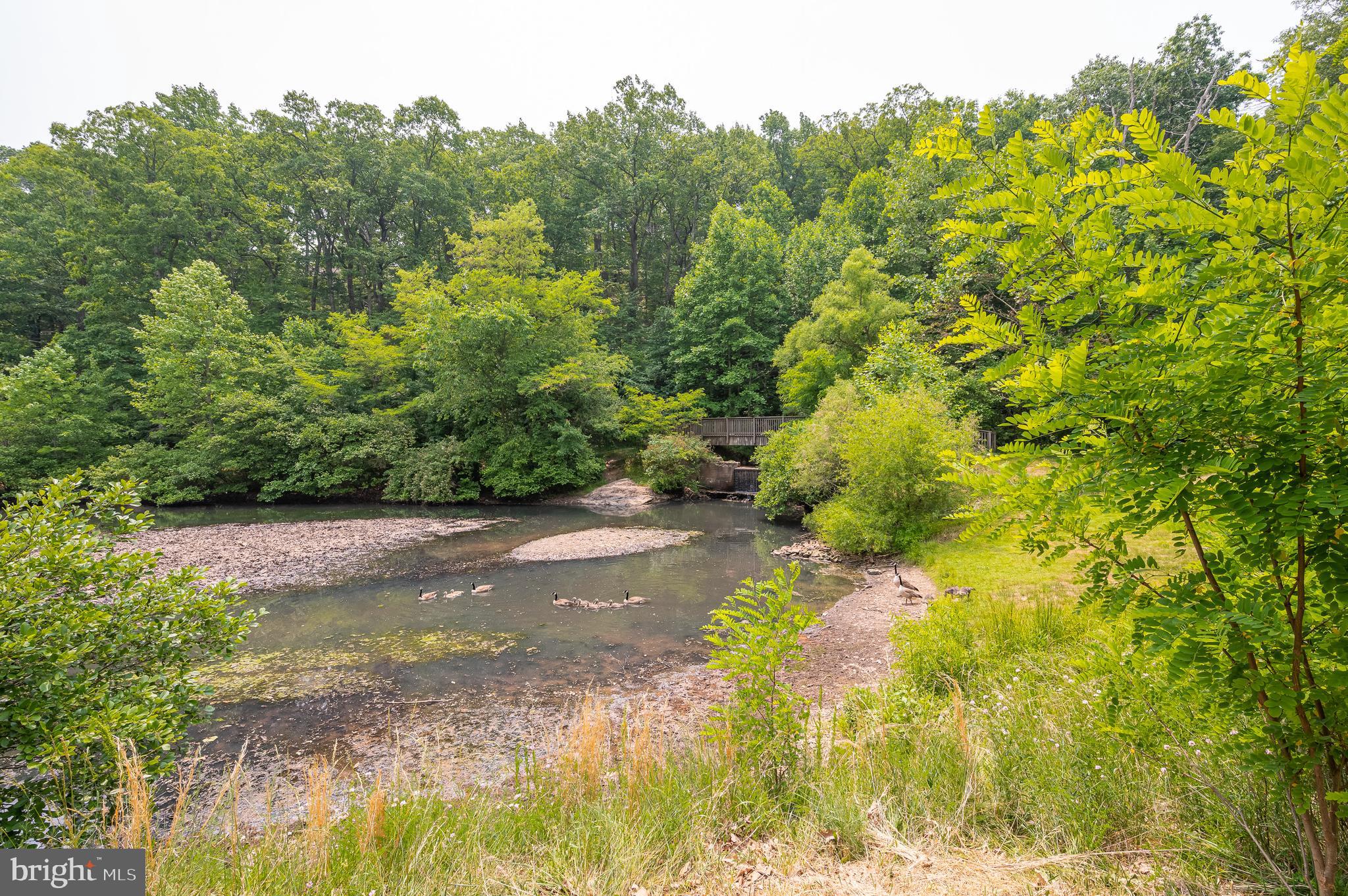 THE WOODS - Residential