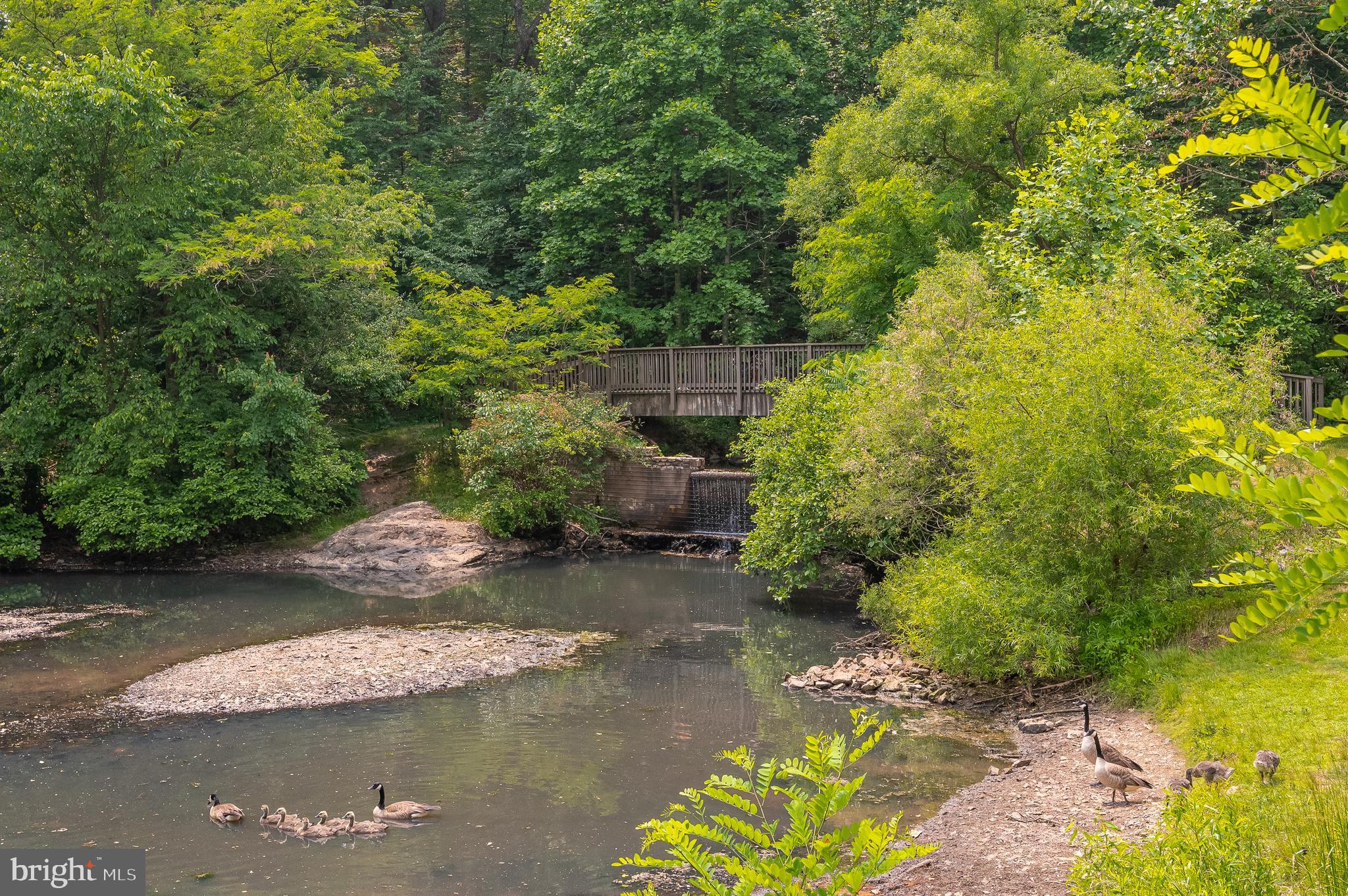 THE WOODS - Residential