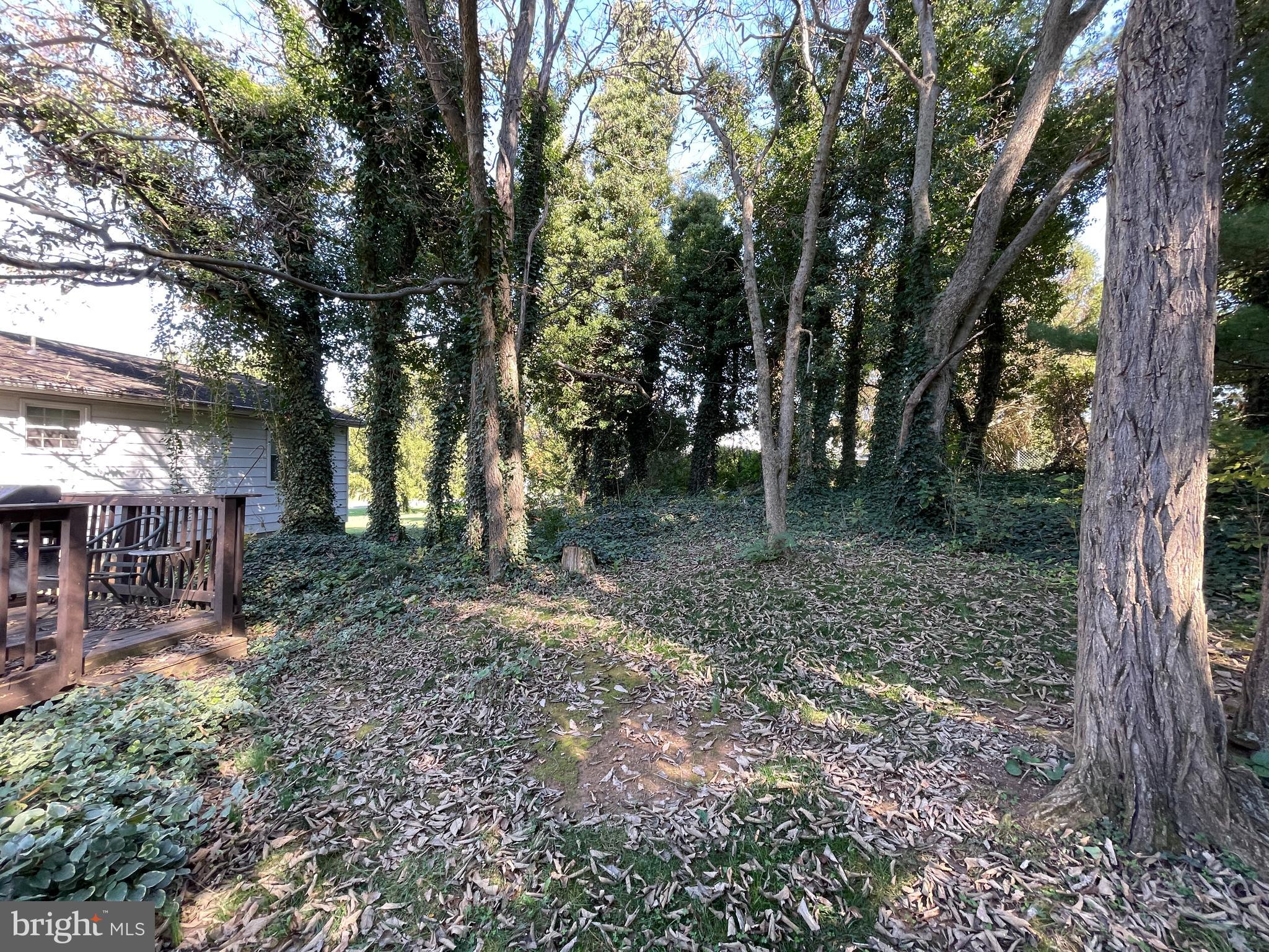 ANTIETAM MANOR - Residential